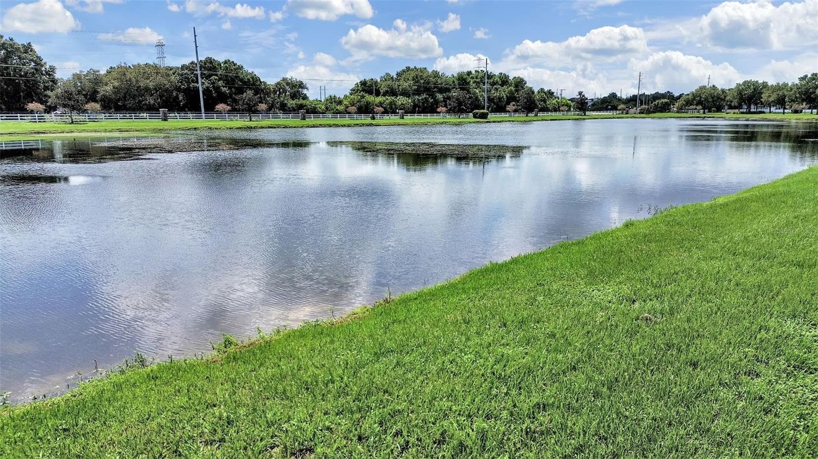 11908 Fern Blossom Dr photo 4