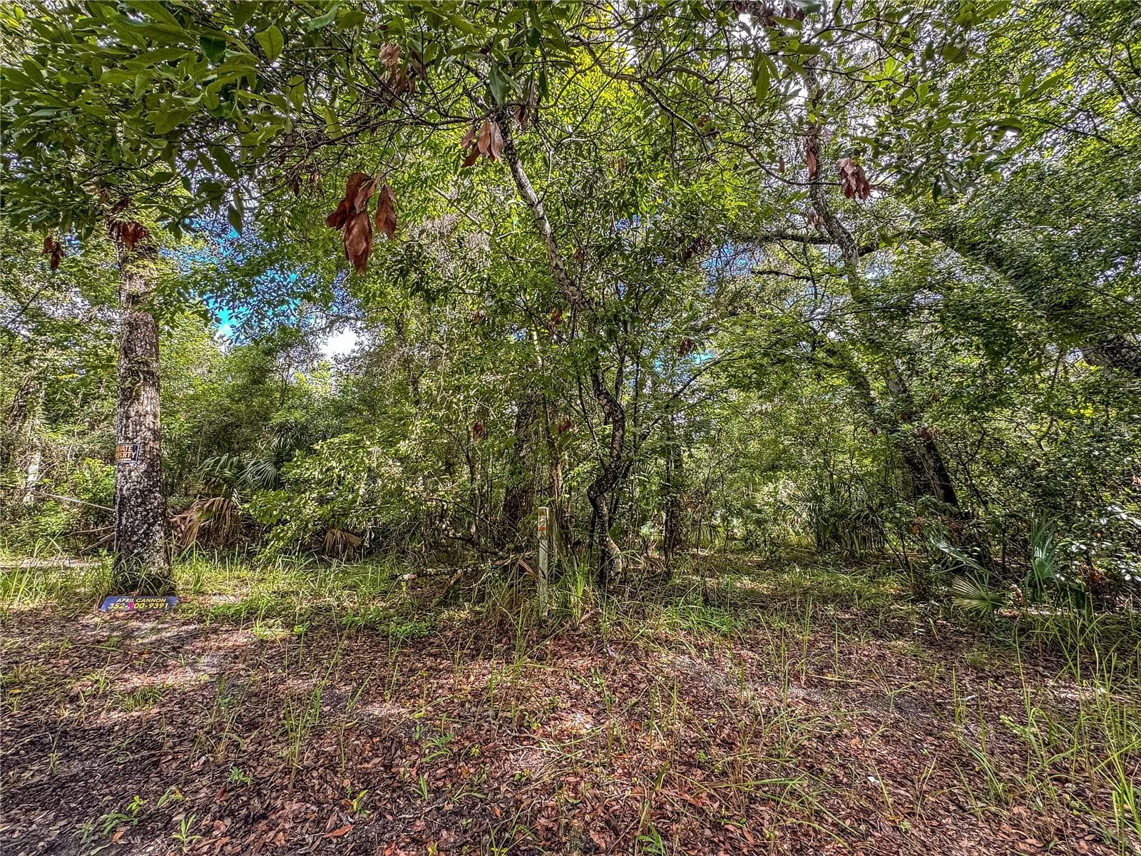 Old Hunter Rd photo 5