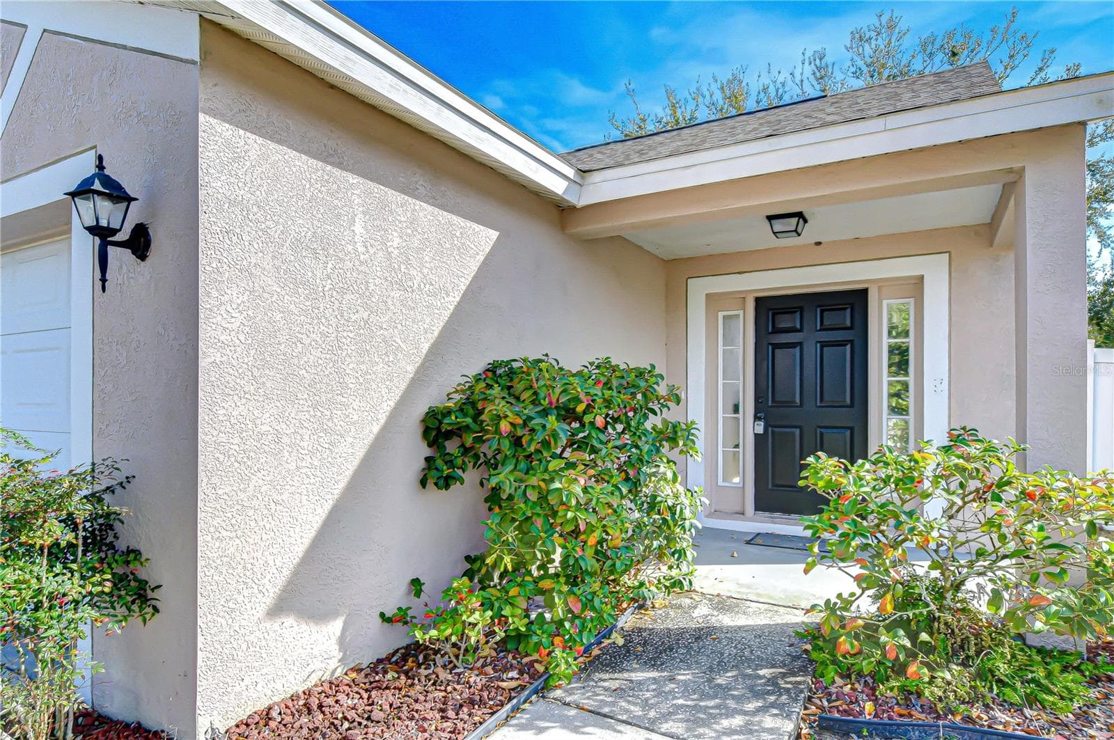24640 Siena Dr photo 5