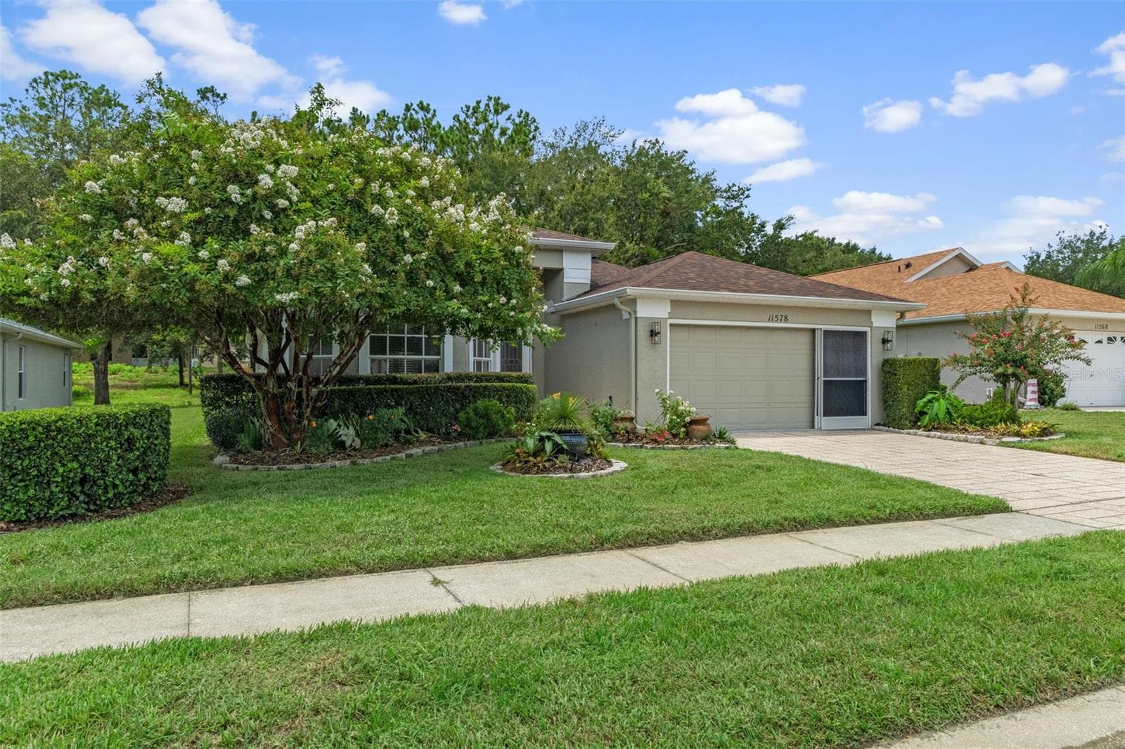 11578 New Haven Dr photo 3
