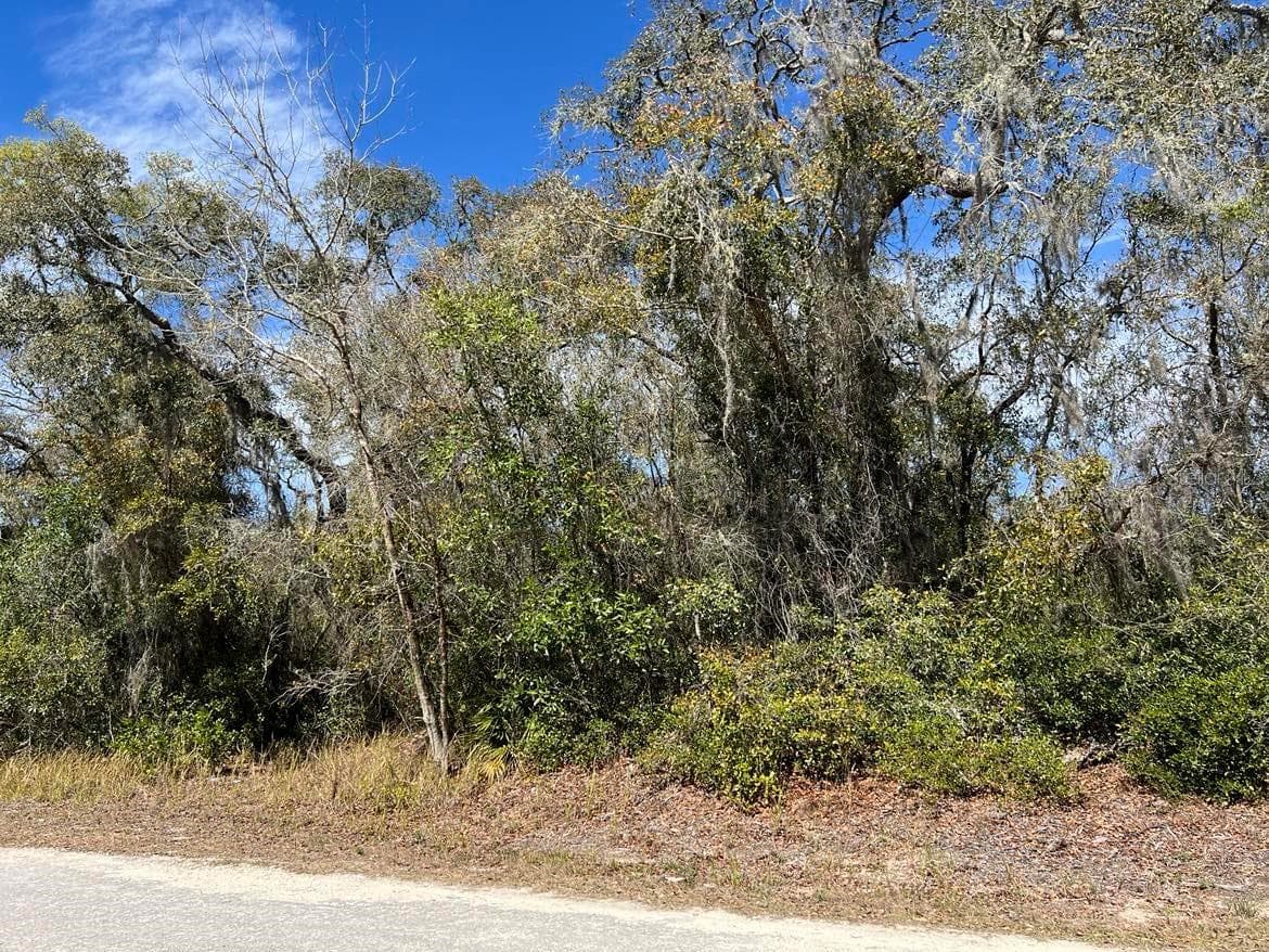 0 Riverstone St #Lot #26 photo 4