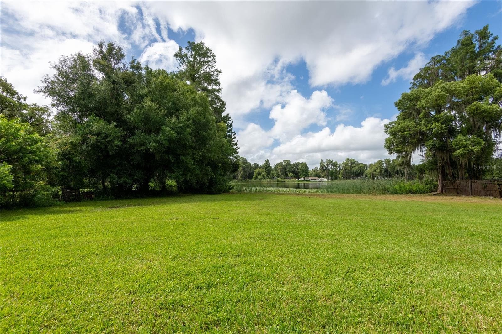 21414 Lake Sharon Dr photo 4