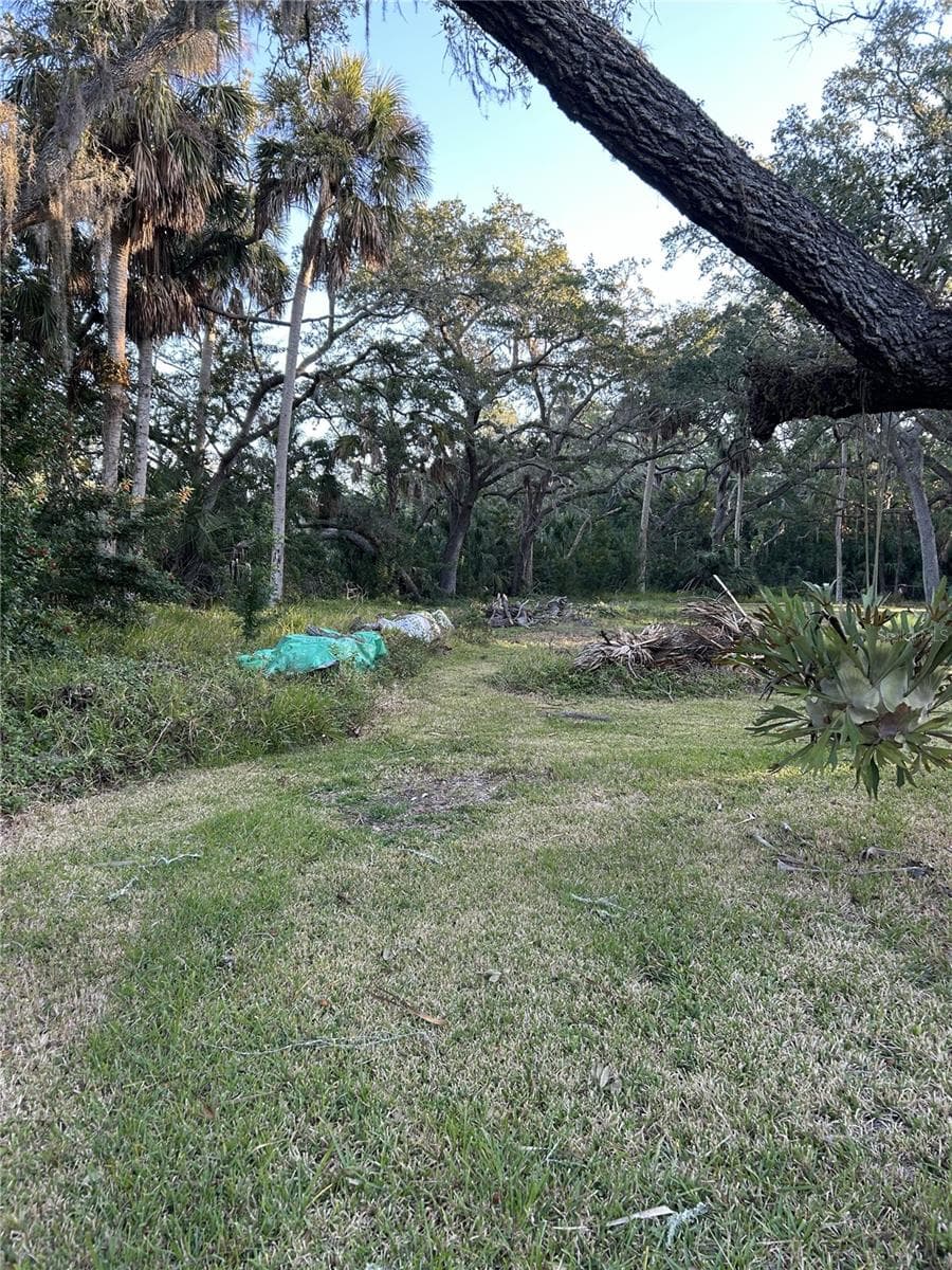 14428 Guava St photo 5