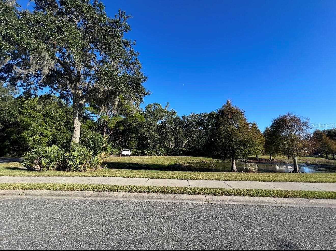 7849 Marsh Pointe Dr photo 5