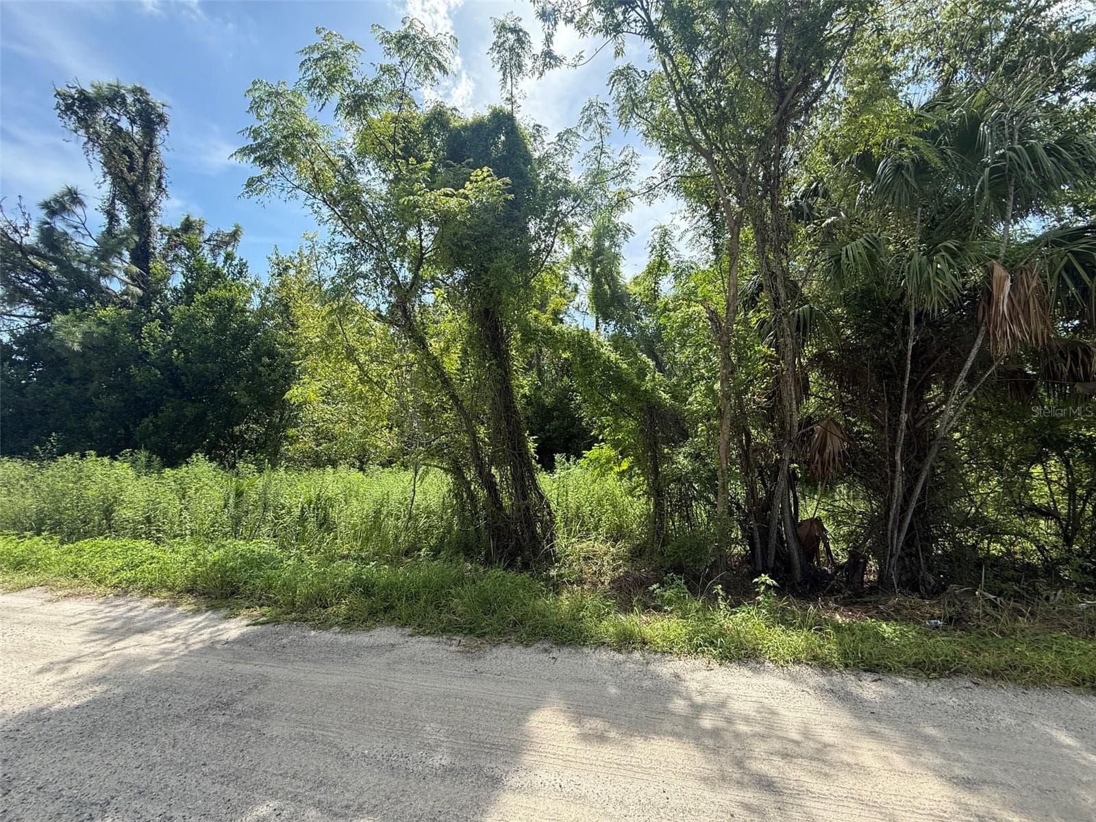 Star Rd photo 3