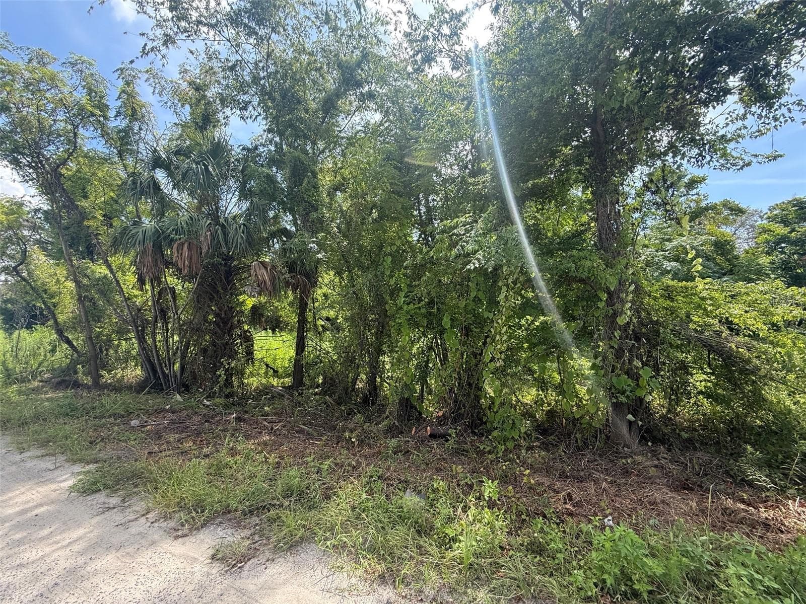Star Rd photo 5