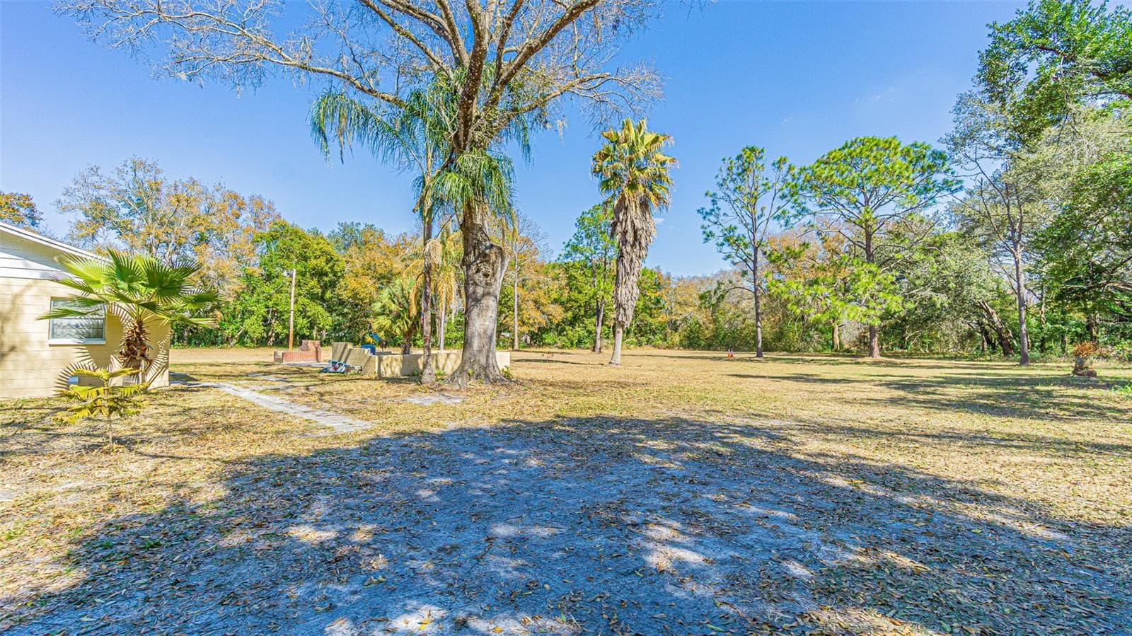 3902 Autumn Palm Dr photo 3