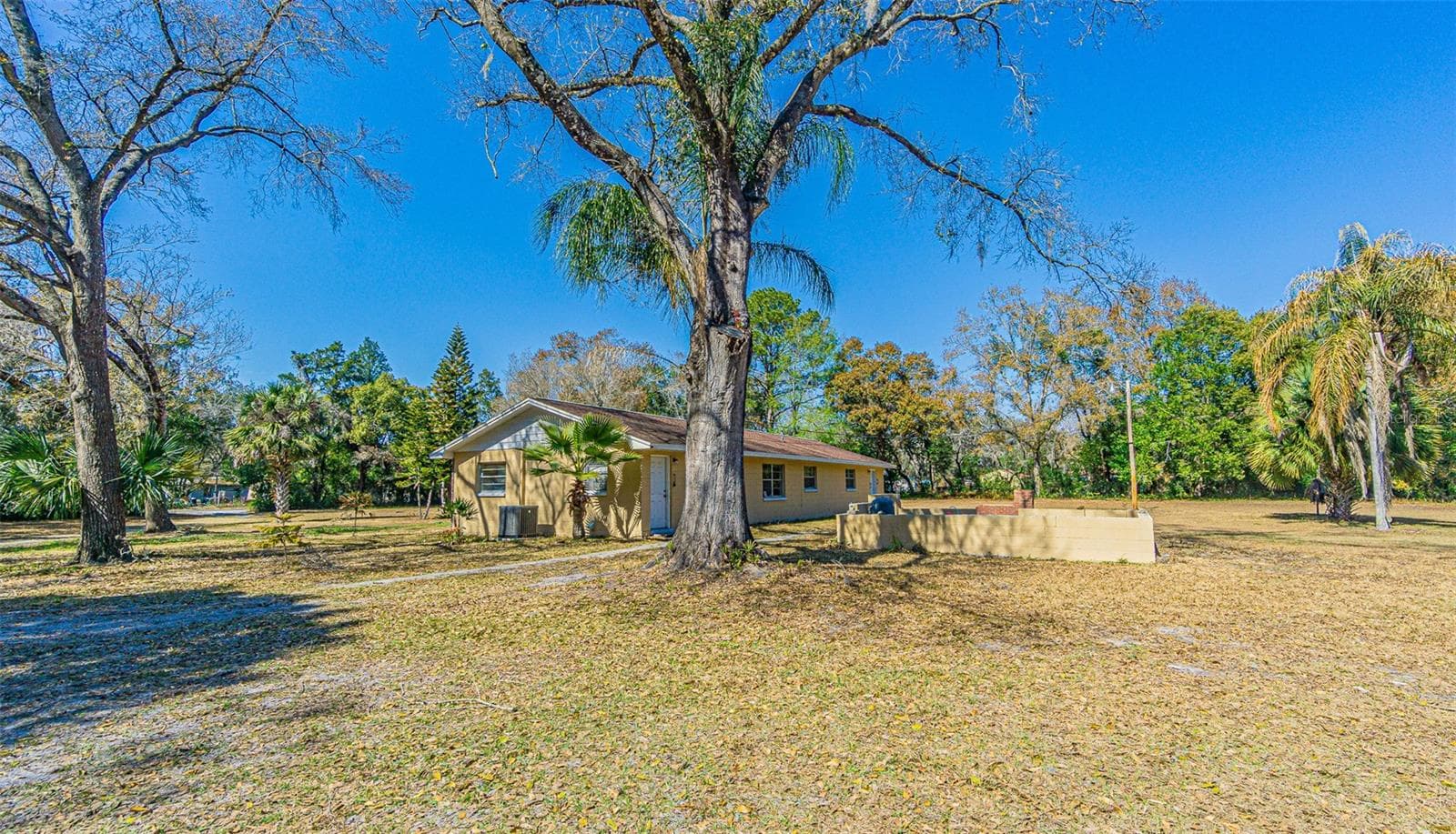 3902 Autumn Palm Dr photo 4