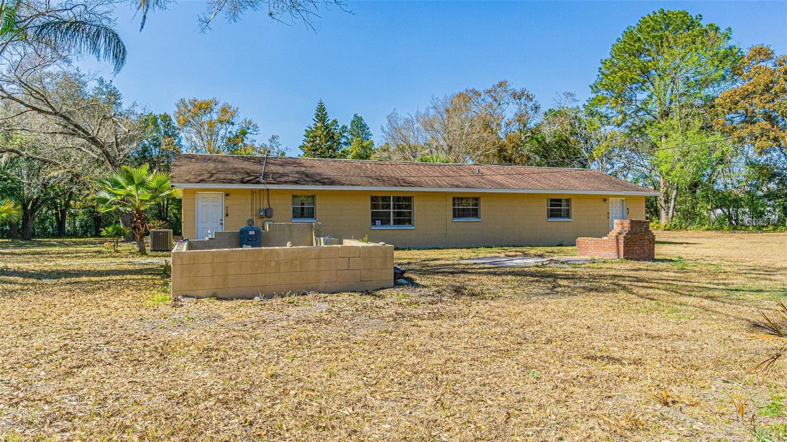3902 Autumn Palm Dr photo 5