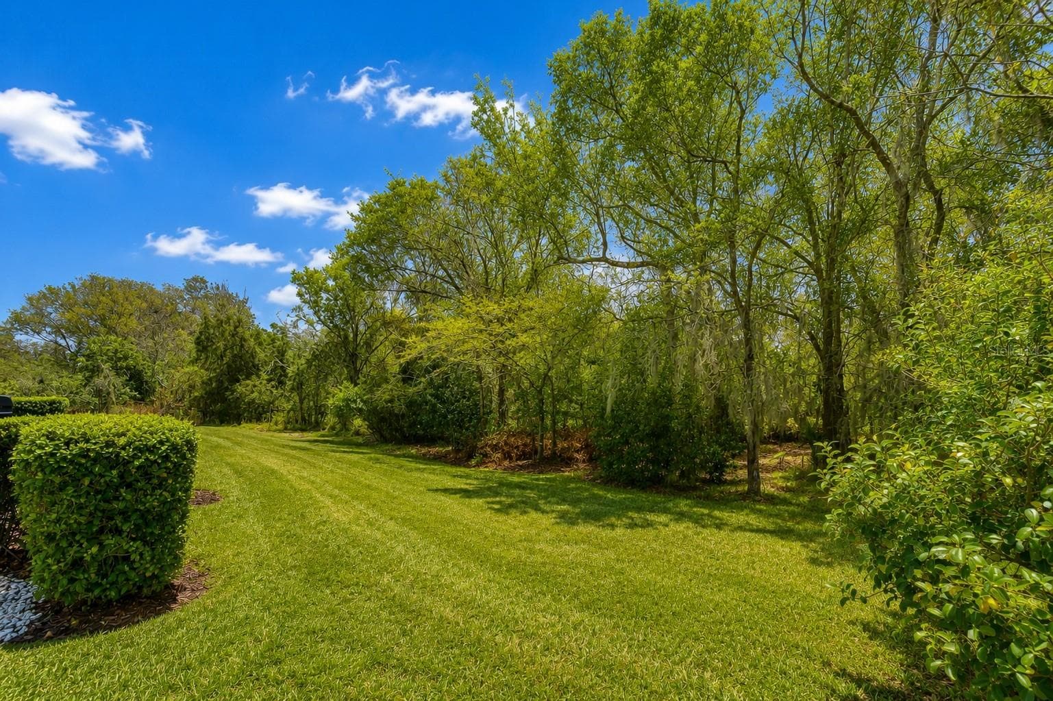 16158 Amethyst Key Dr photo 3