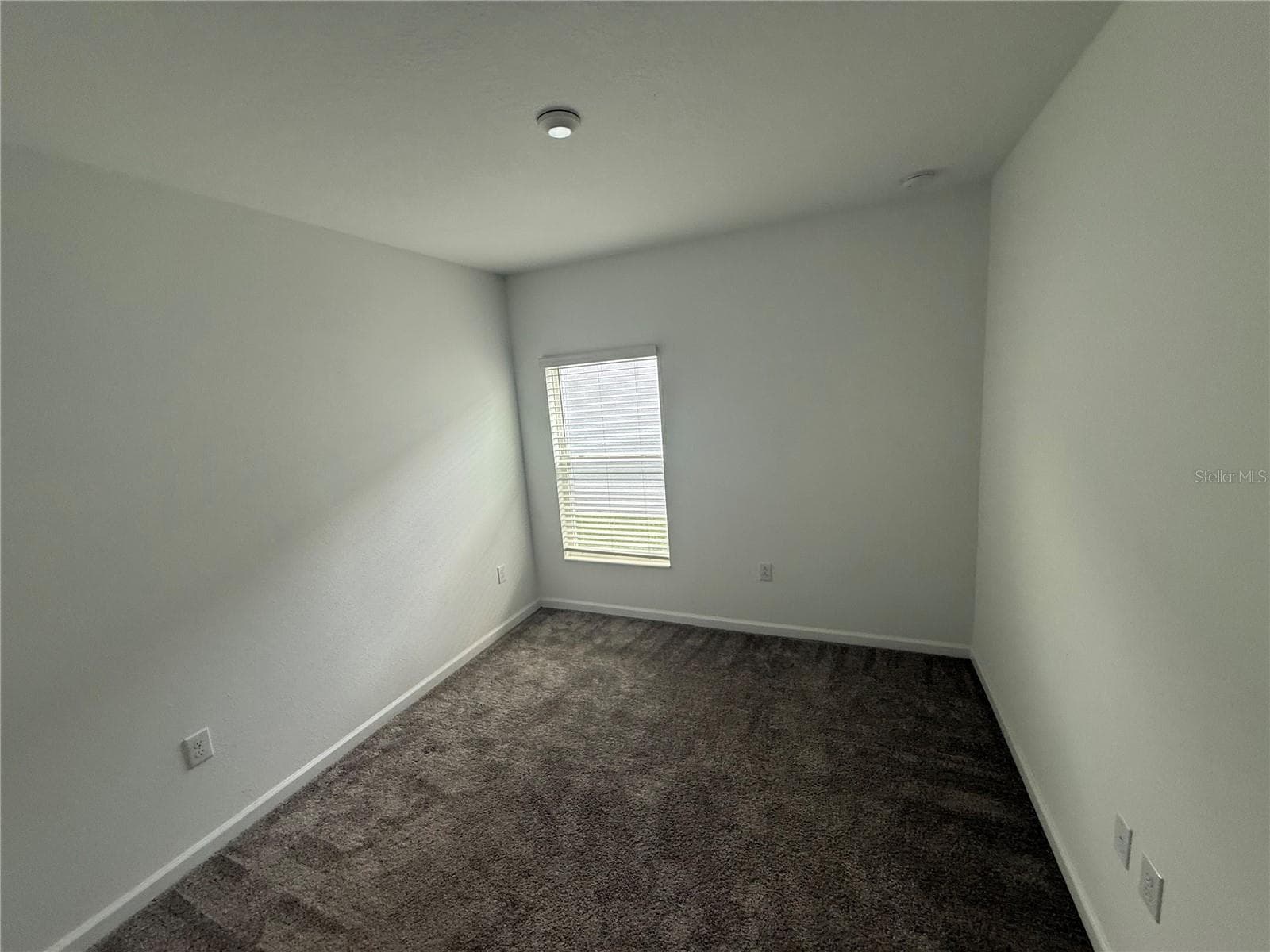 752 Trotters Dr photo 5