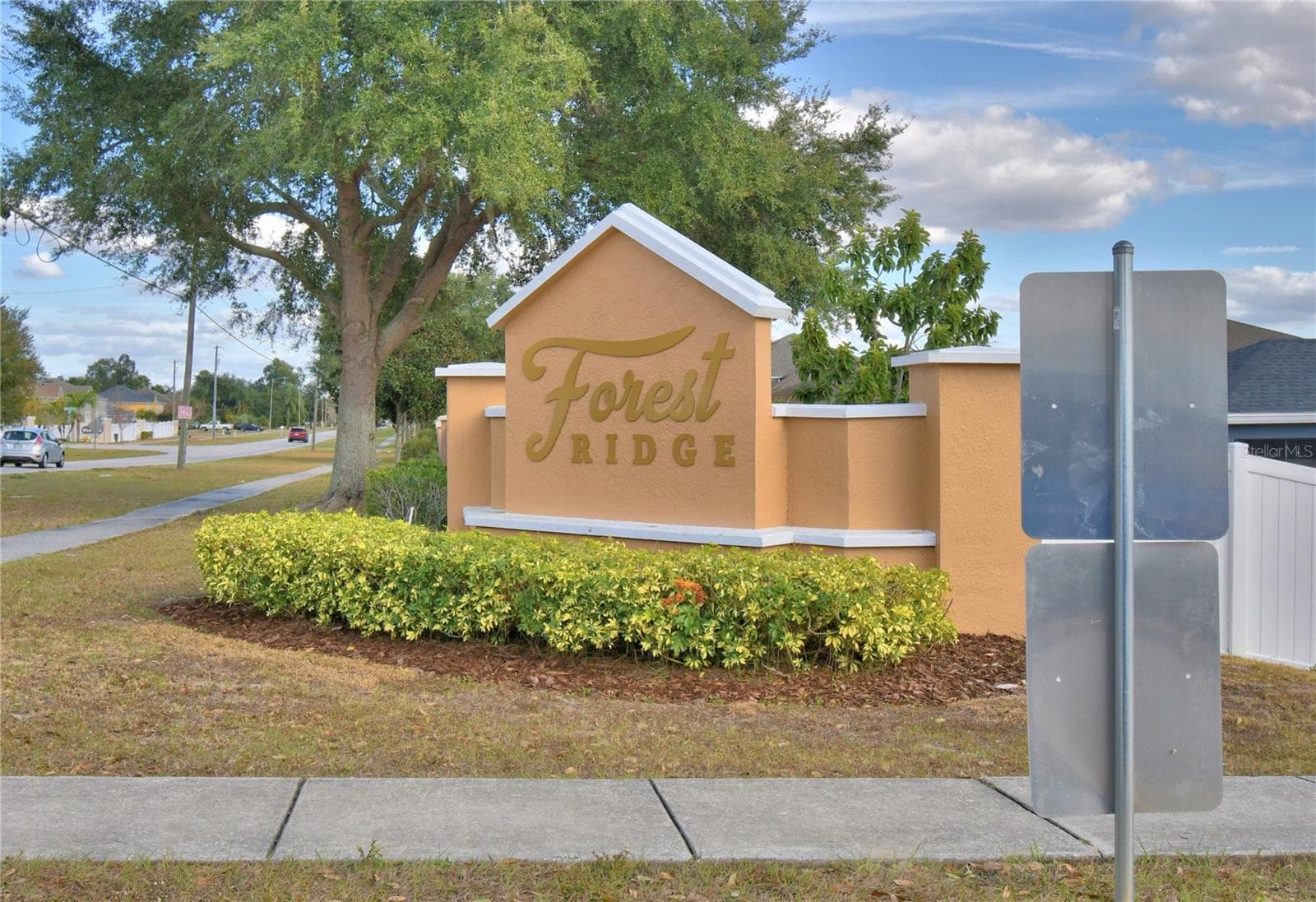 5621 Forest Ridge Dr photo 3