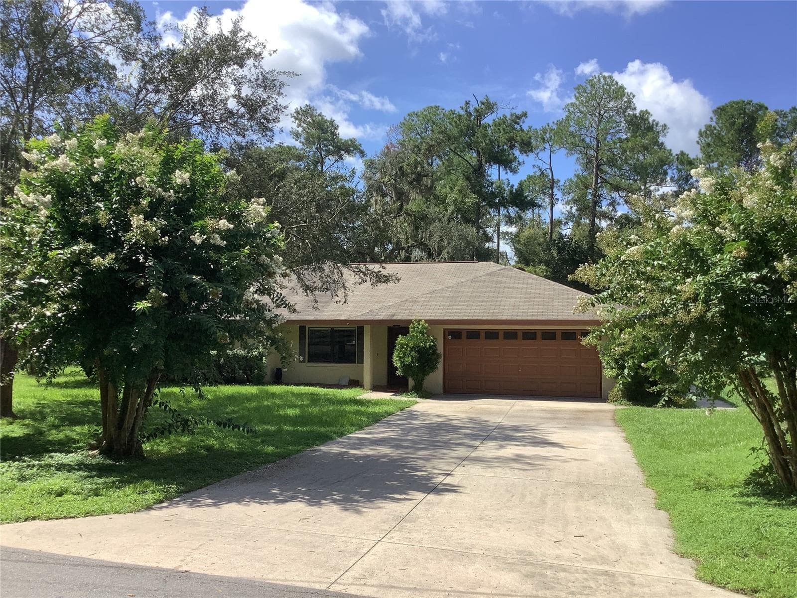 34473 Orchid Pkwy photo 4