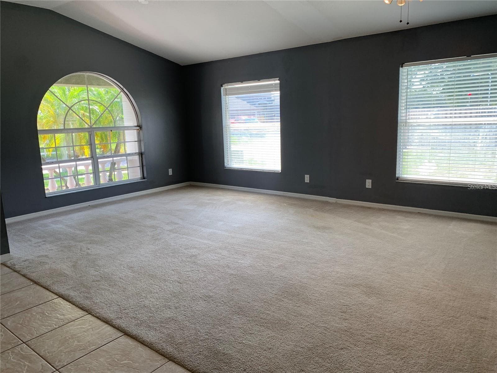 4211 Hartford Lake Dr photo 3