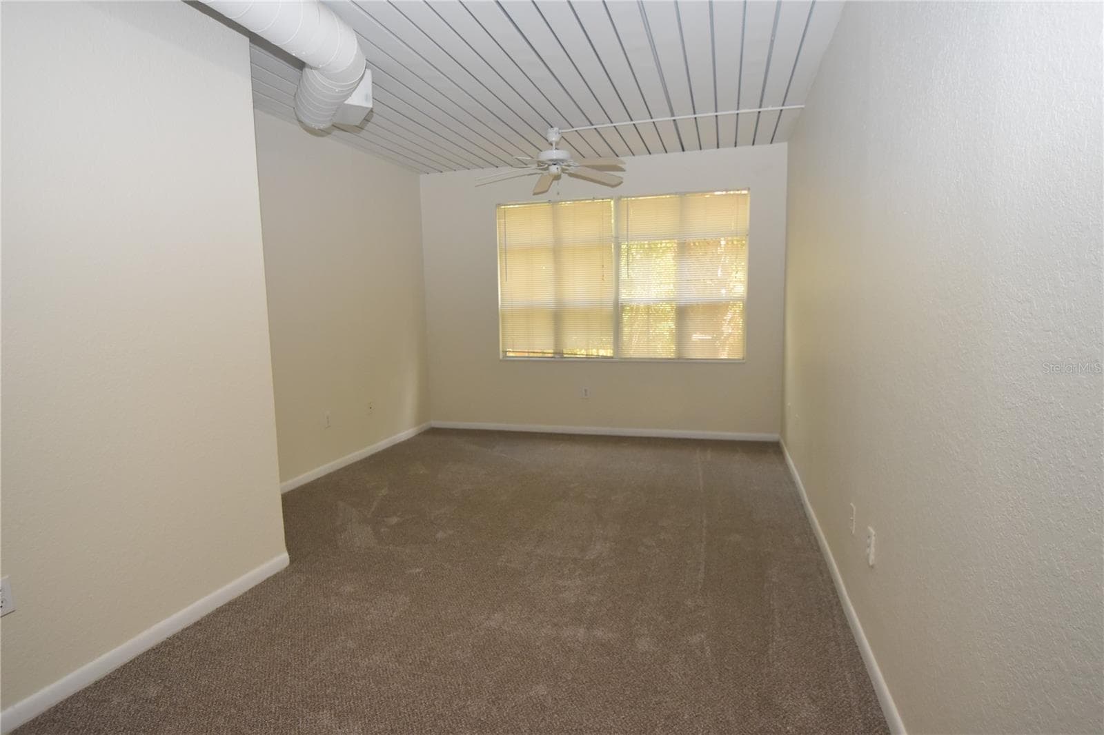 2402 W Azeele St #426 photo 3