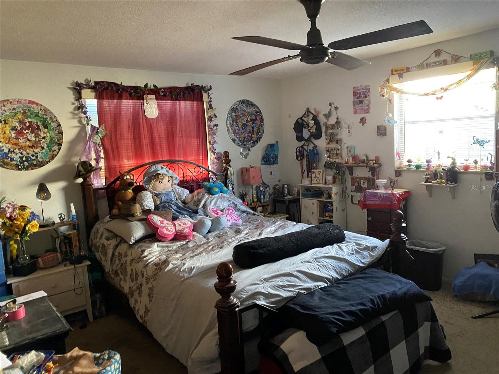 10018 Cherry Creek Ln photo 5