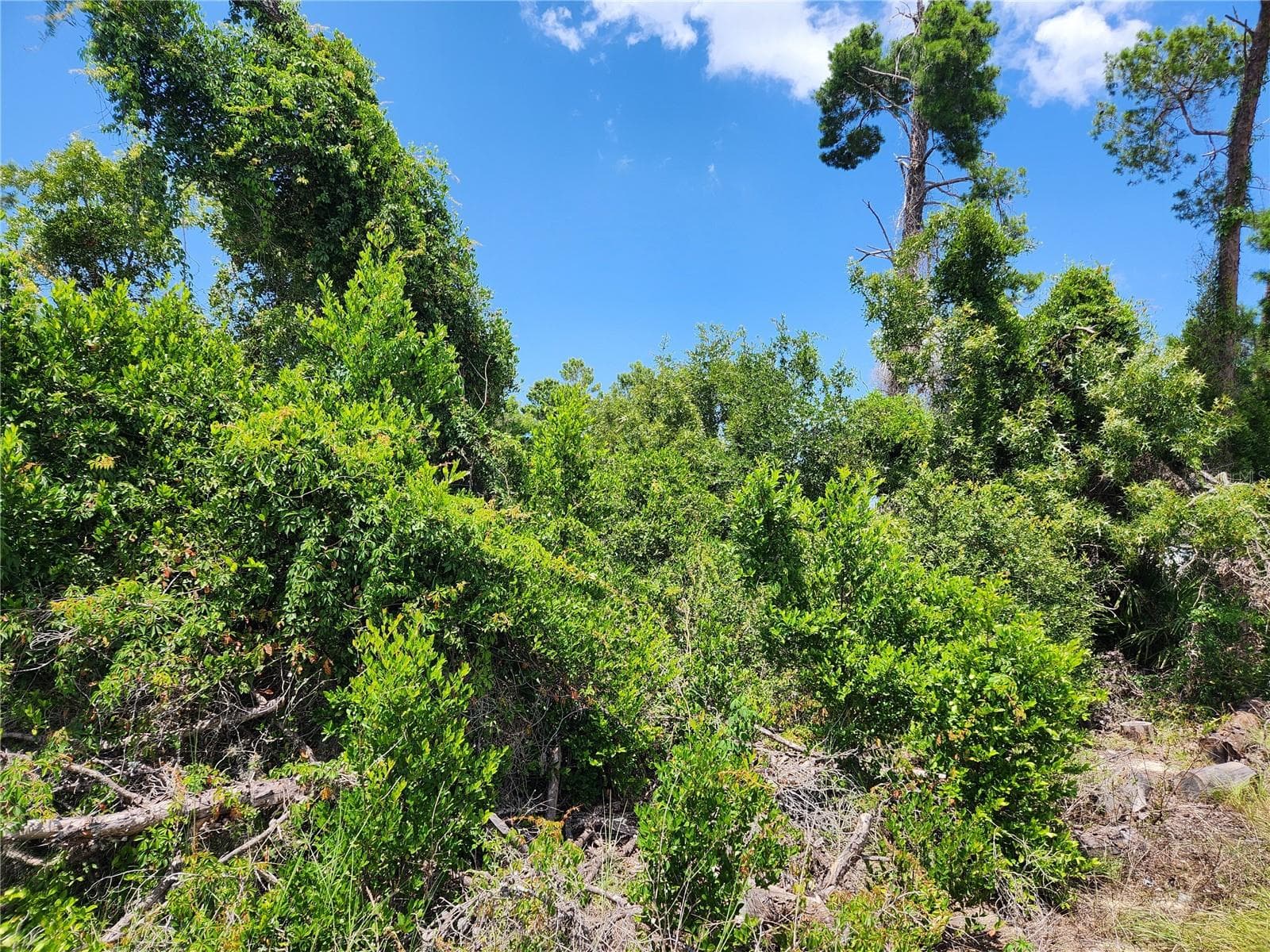 6241 Mariner Blvd #Lot 31