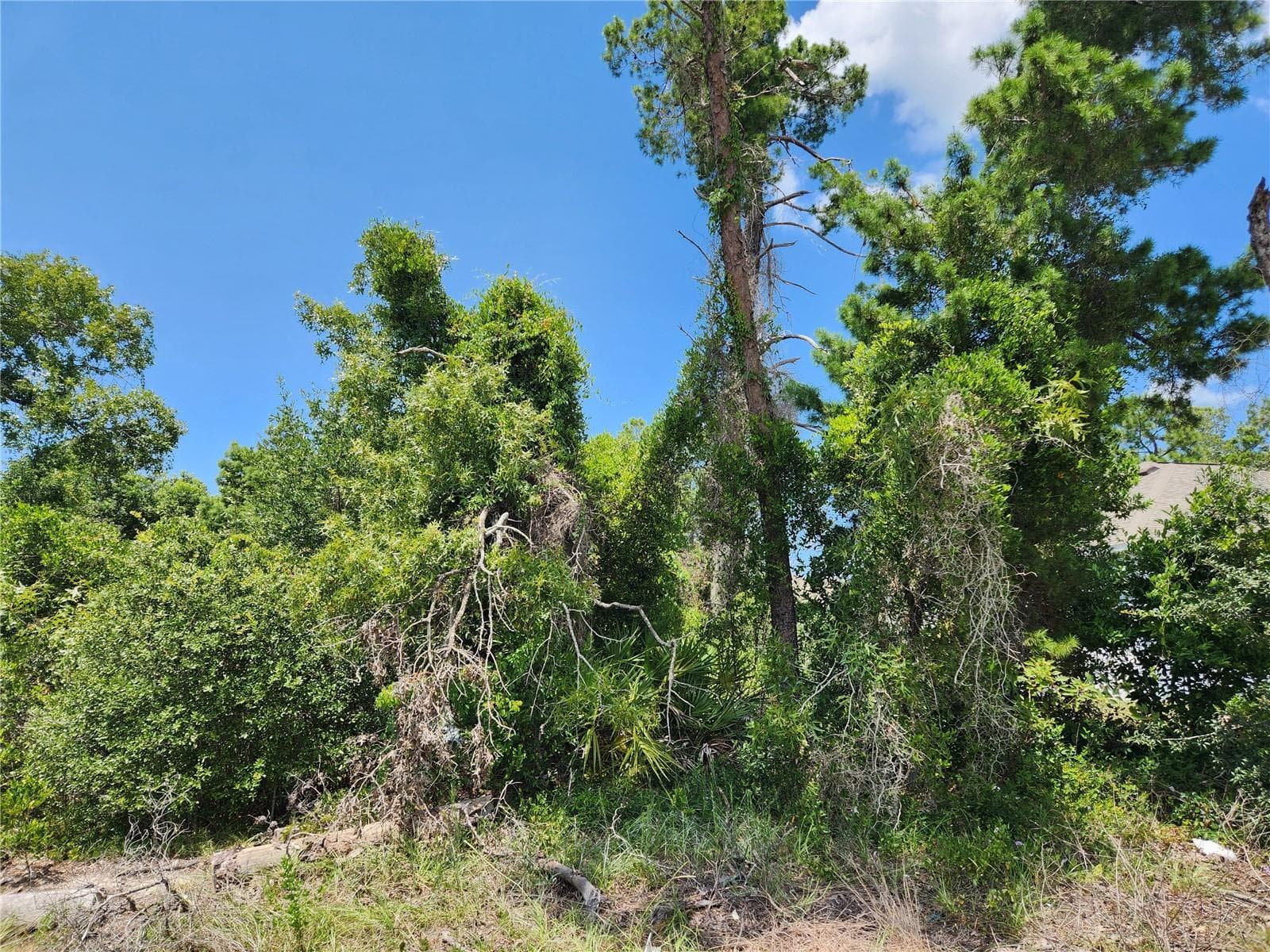 6241 Mariner Blvd #Lot 31 photo 4