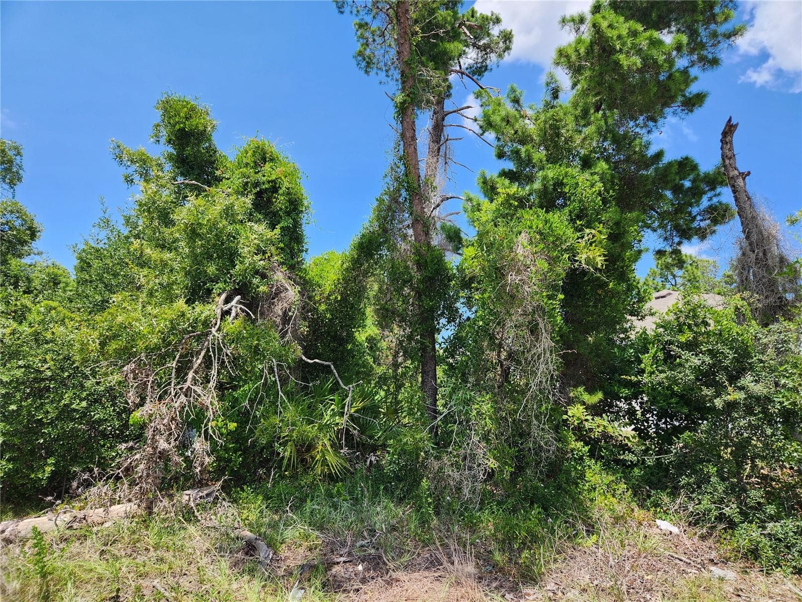 6241 Mariner Blvd #Lot 31 photo 5