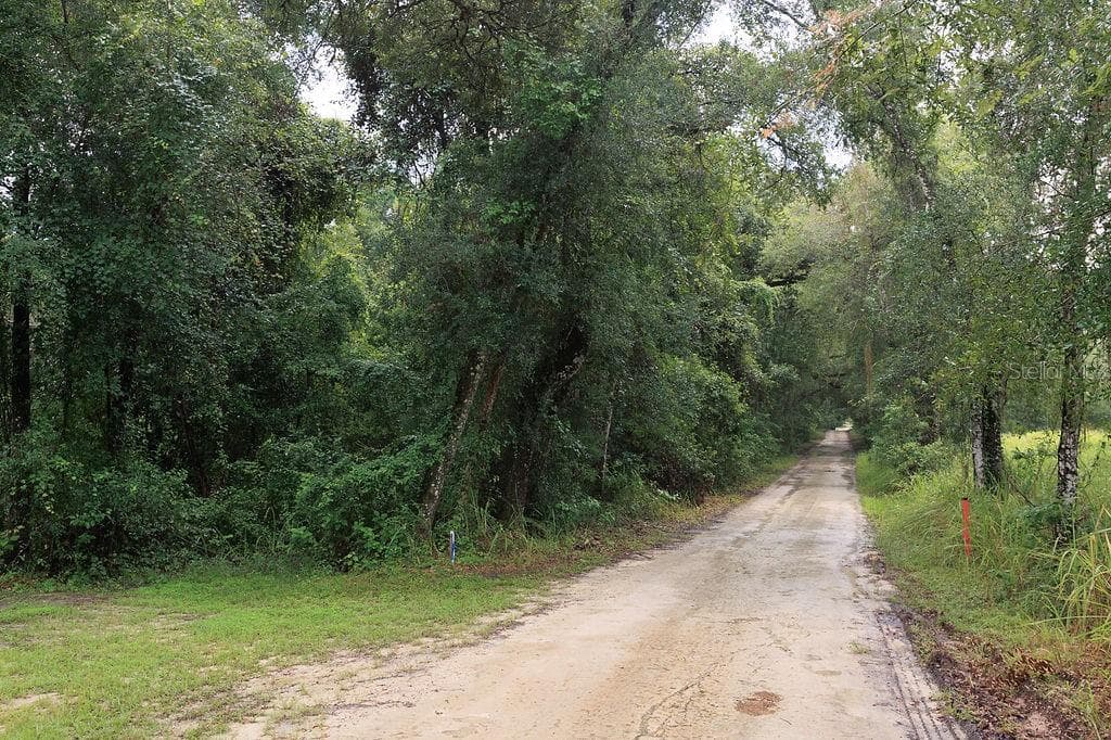 0 Lucilles Shady Ln photo 5