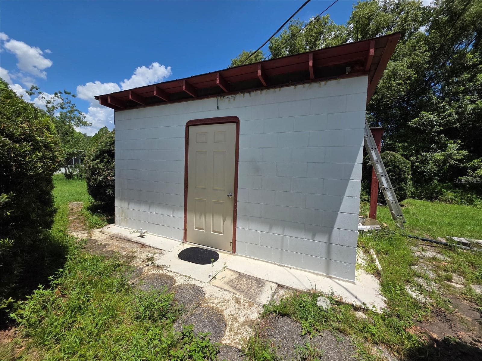 33600 Isabelle Dr photo 5