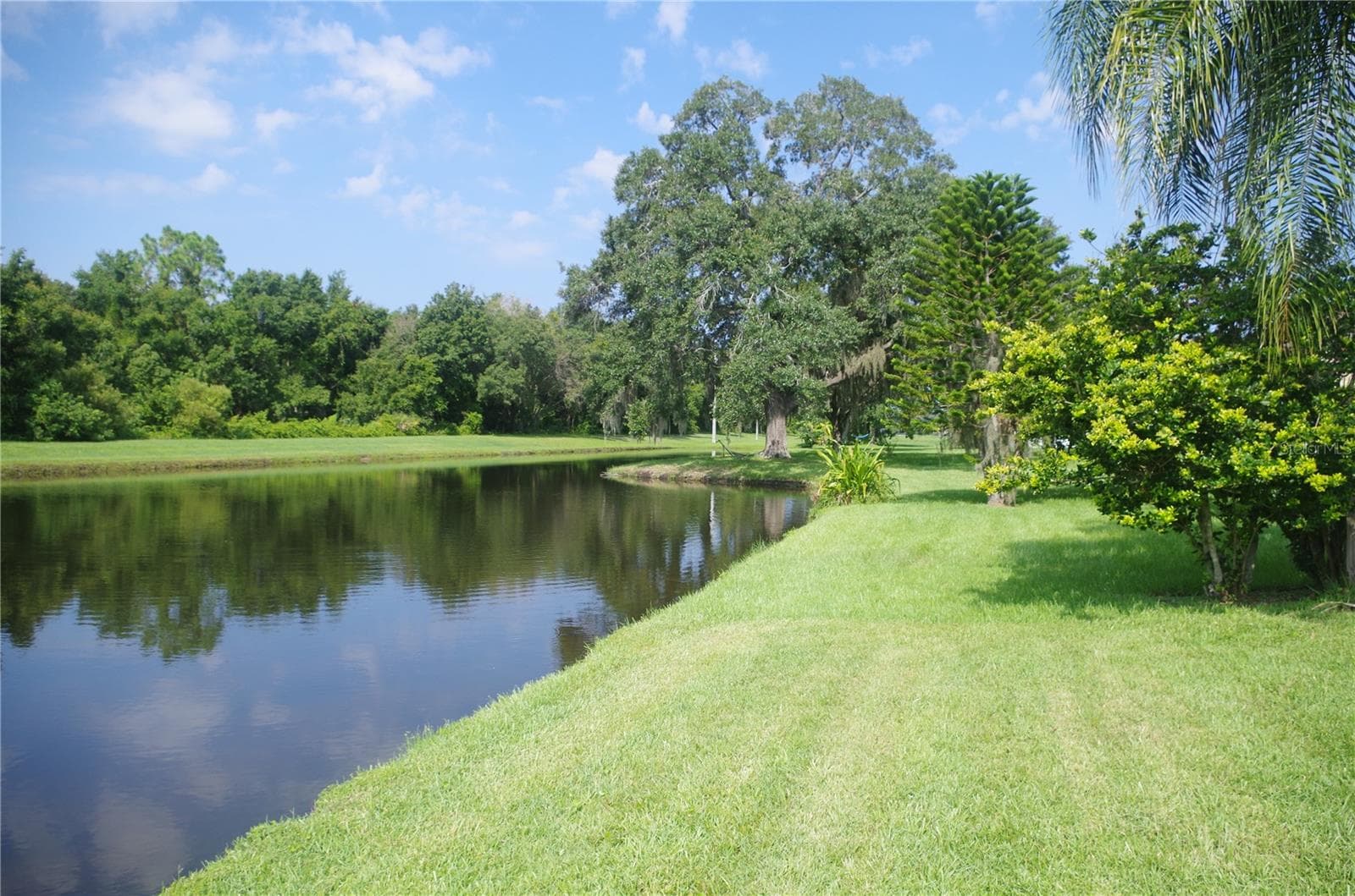 933 Summer Breeze Dr photo 5