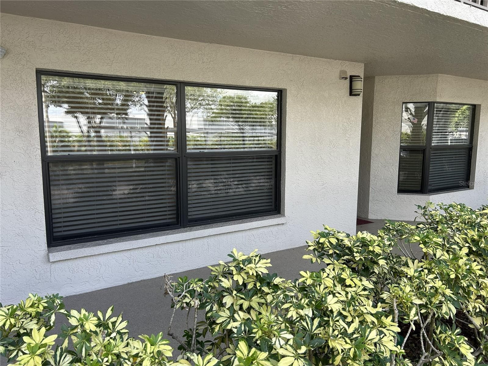 1316 Pasadena Ave S #102 photo 3