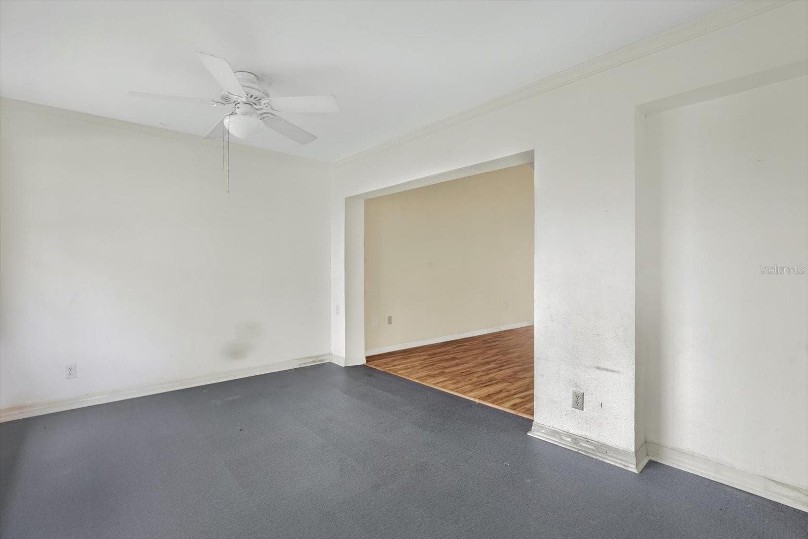 7636 Haig CT photo 5
