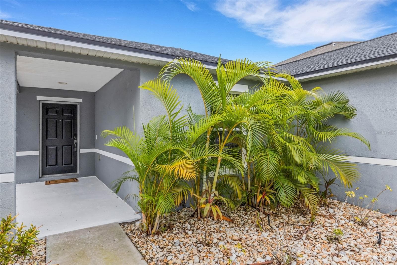 11136 Golden Silence Dr photo 3