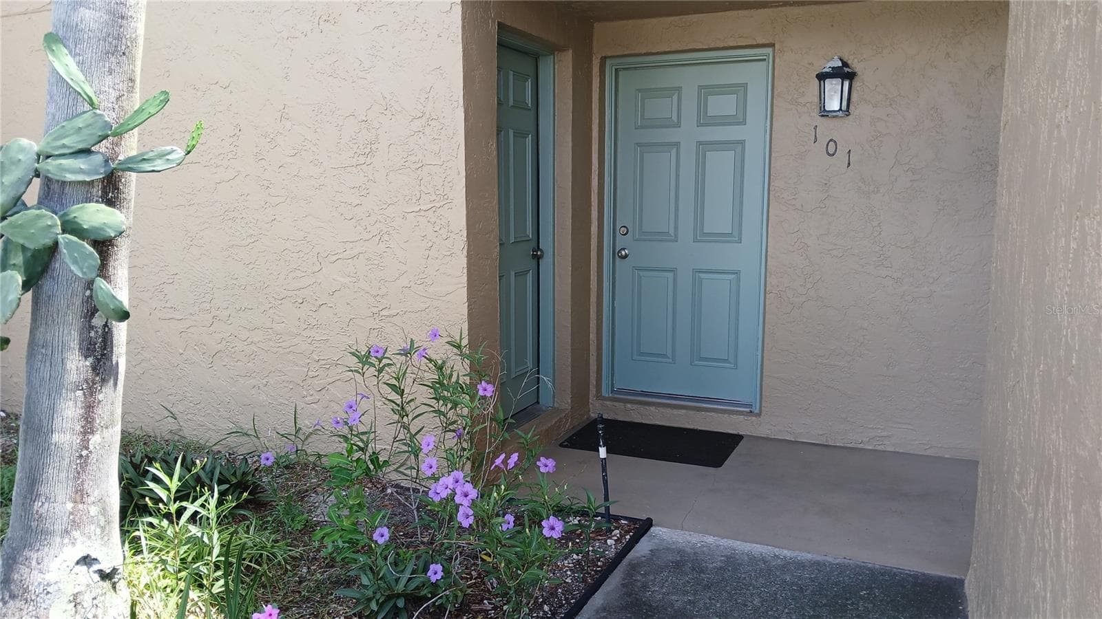 12300 Park Blvd #101 photo 2