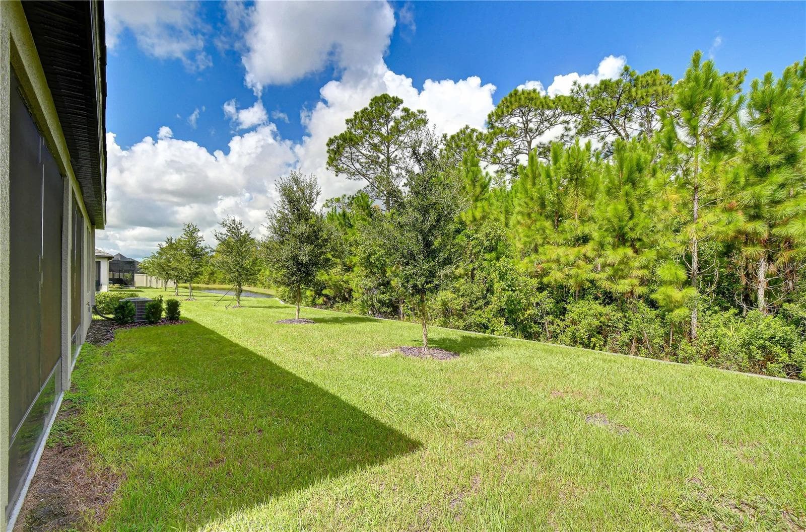 10577 Banyan Breeze Blvd photo 3