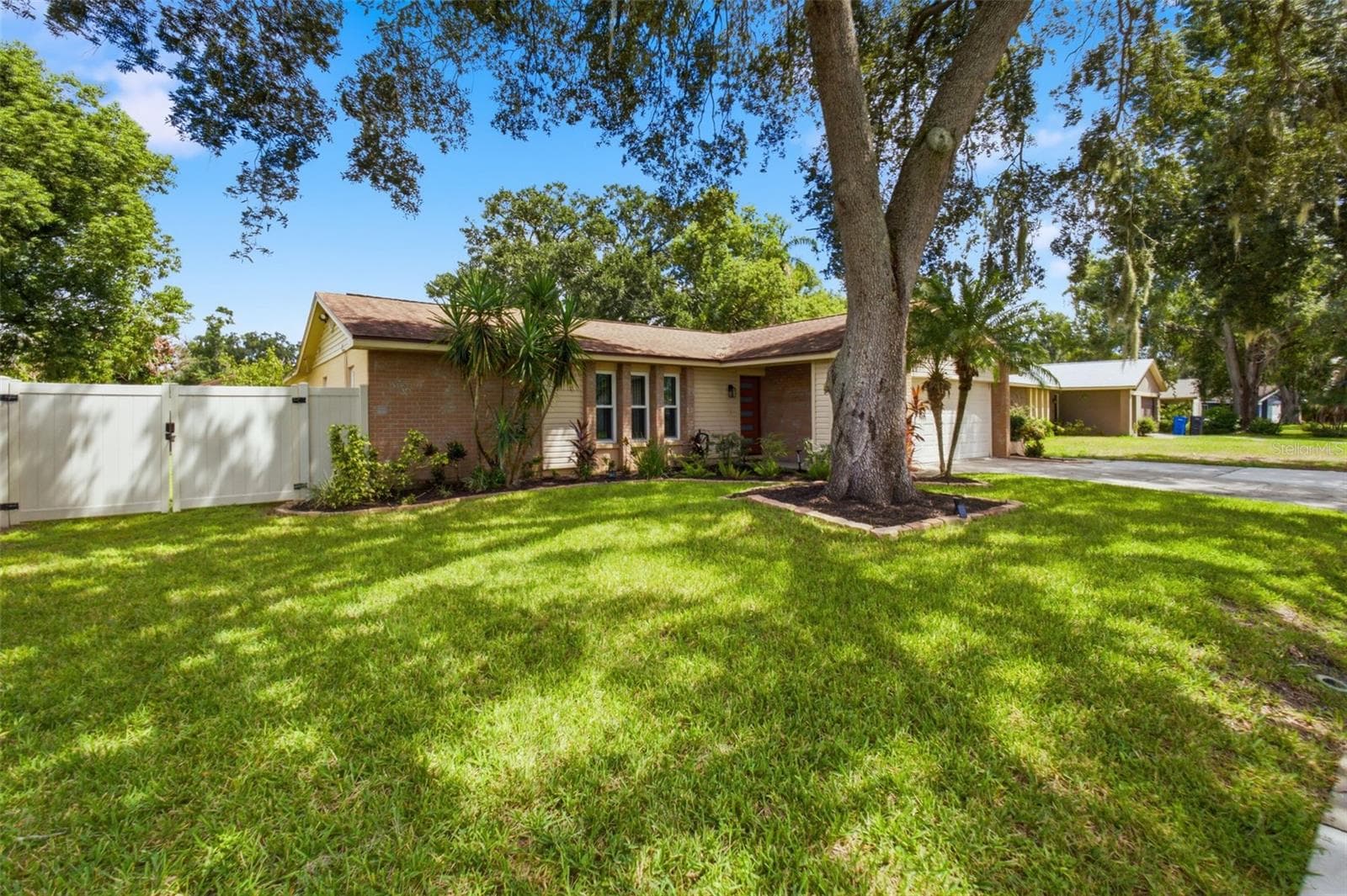 613 Pine Forest Dr photo 3