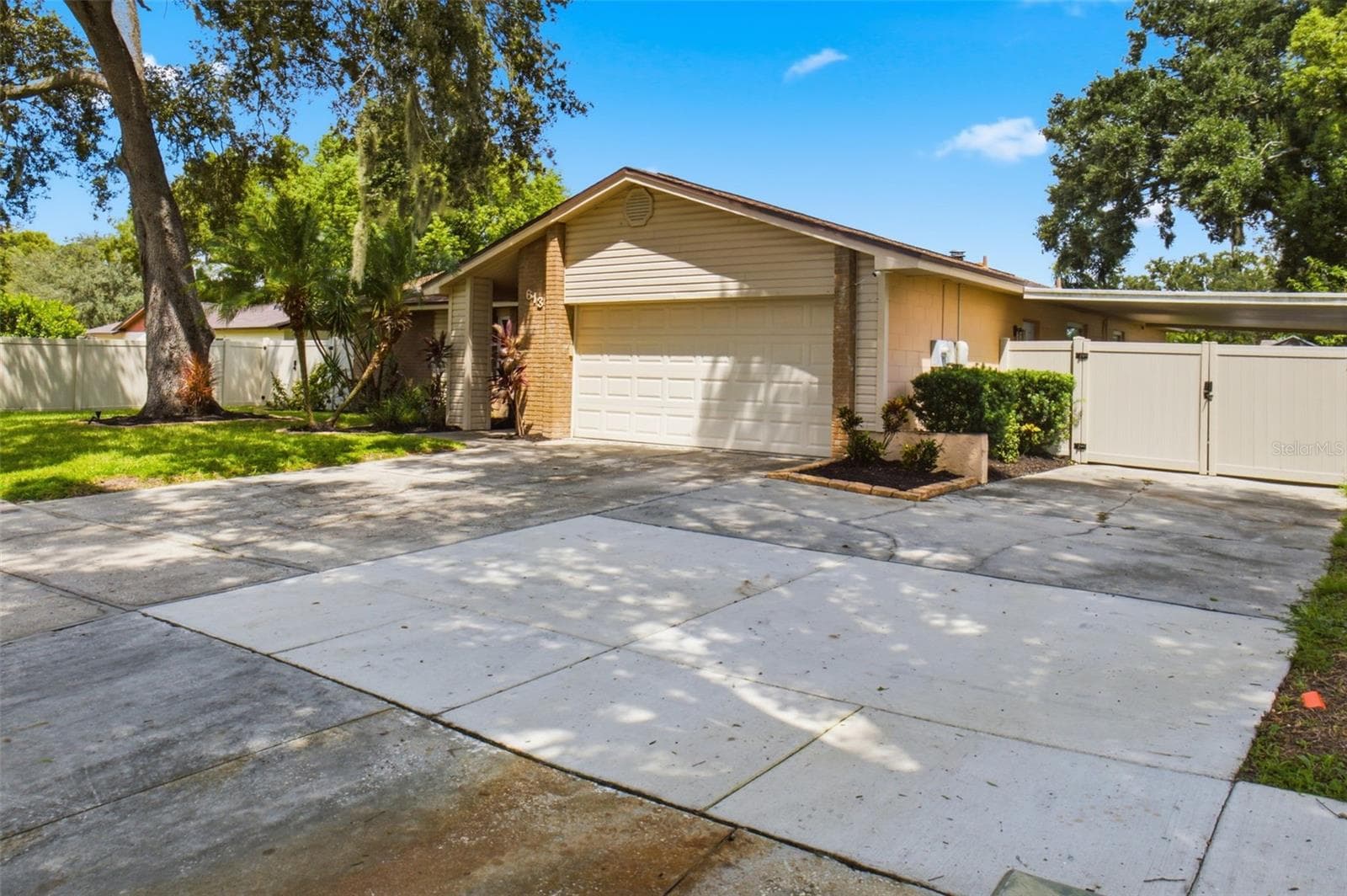 613 Pine Forest Dr photo 4