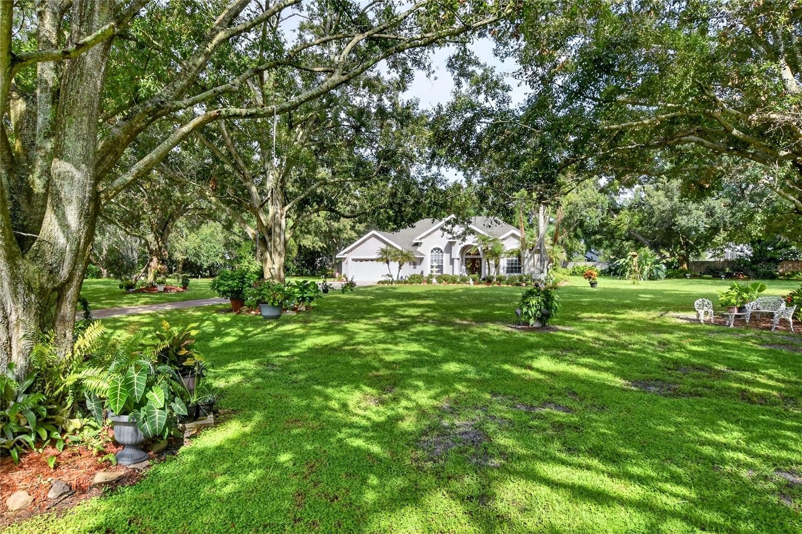 4401 Chambliss Rd photo 4