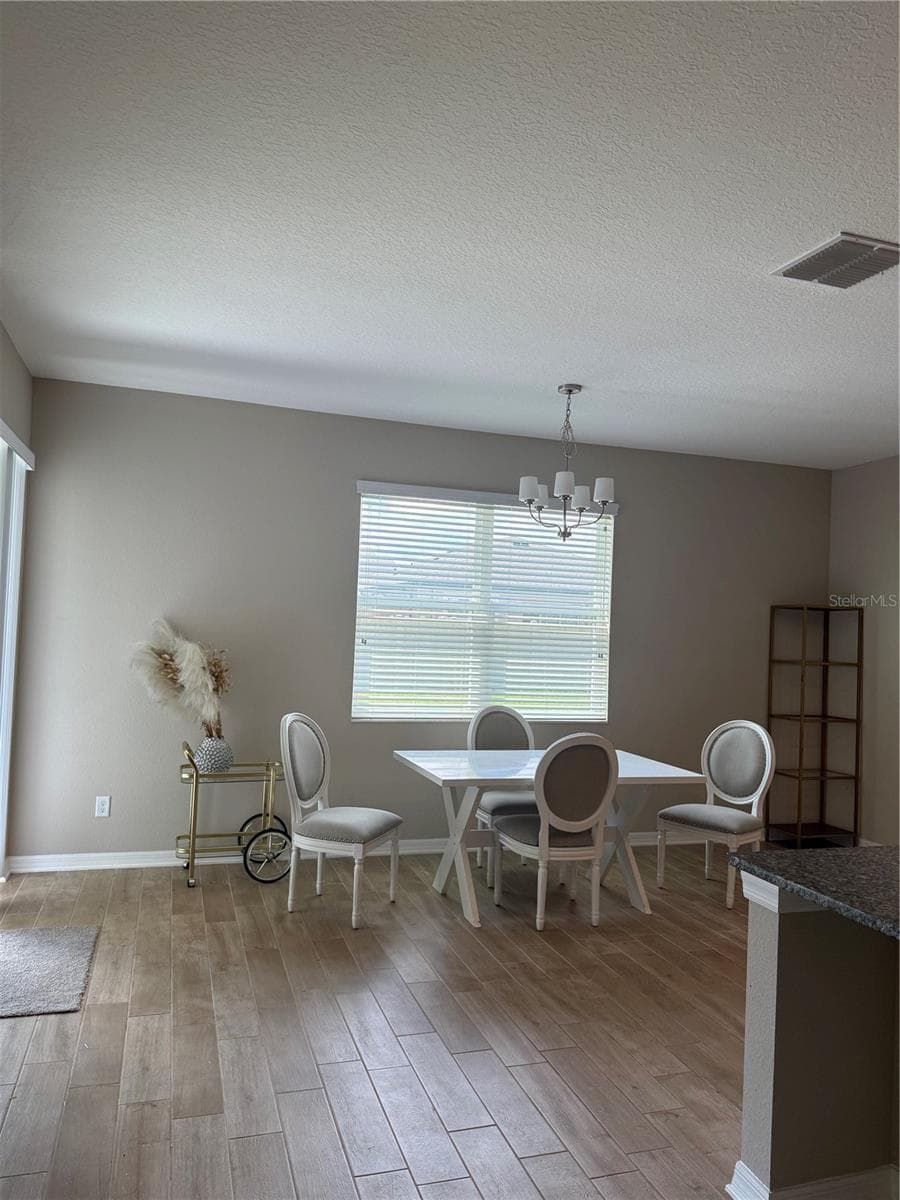 31954 Sapna Chime Dr photo 4