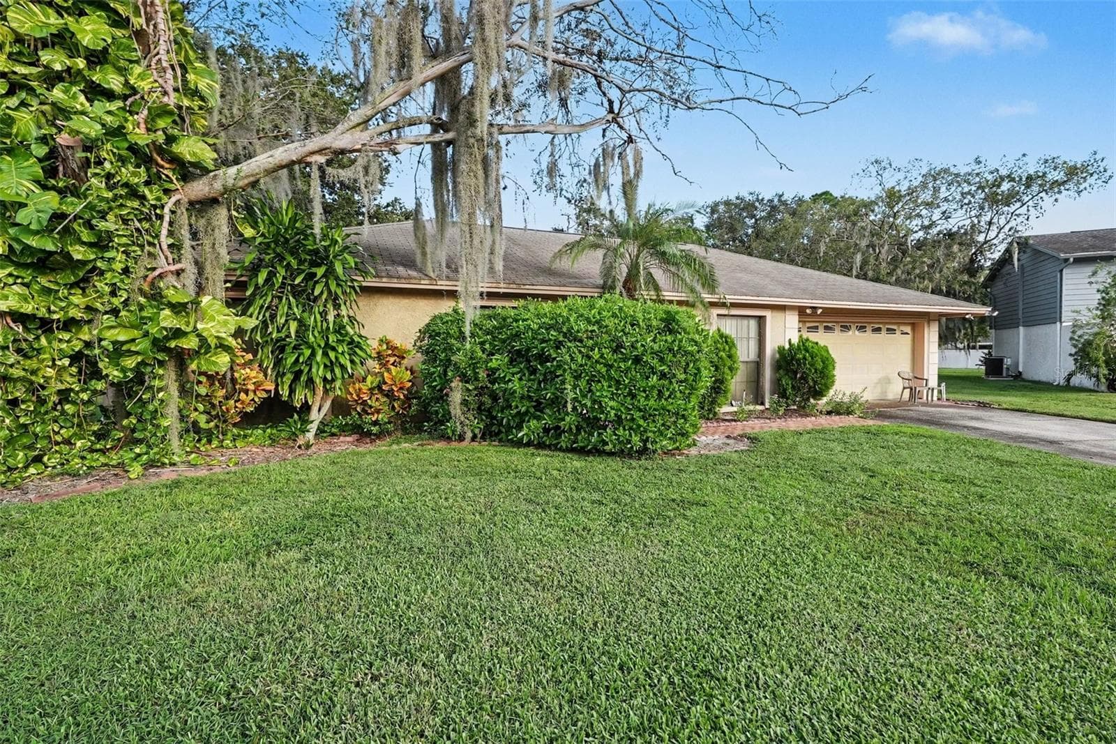 602 Speck CT photo 3