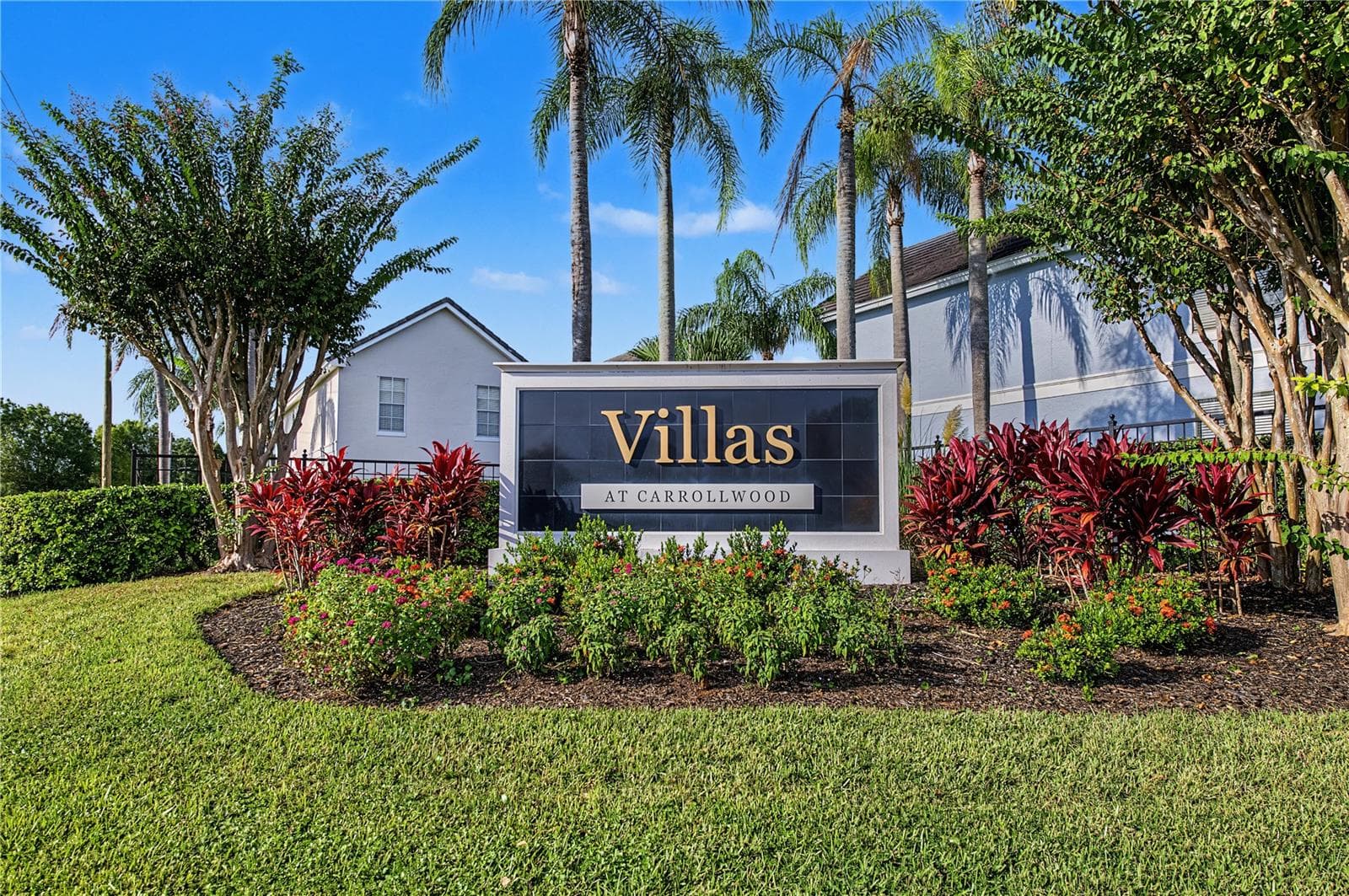 4006 Carrollwood Palm CT photo 2