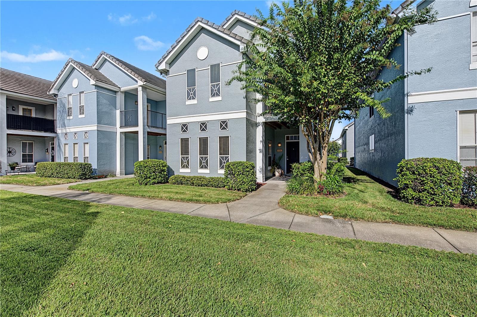 4006 Carrollwood Palm CT photo 3