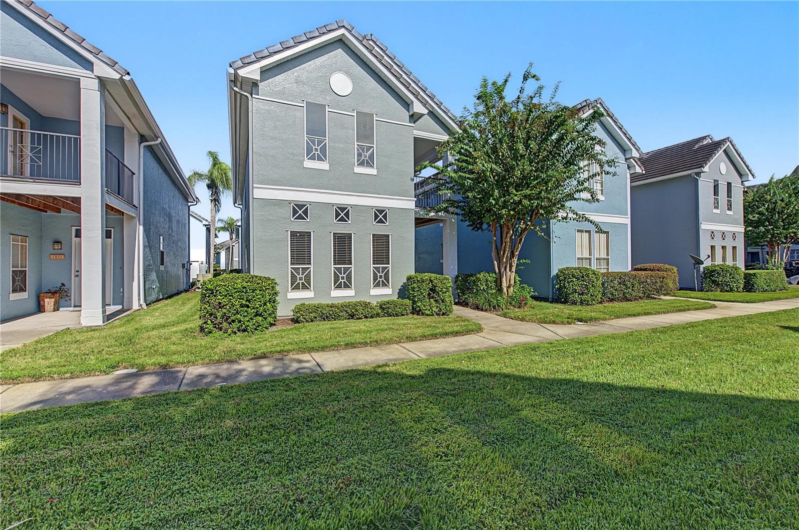4006 Carrollwood Palm CT photo 4