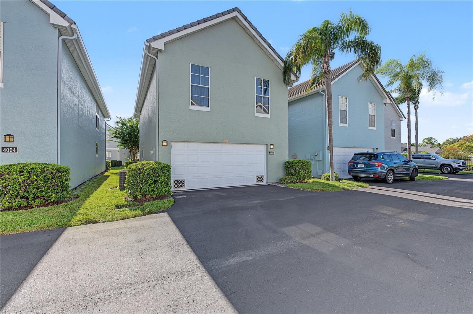 4006 Carrollwood Palm CT photo 5