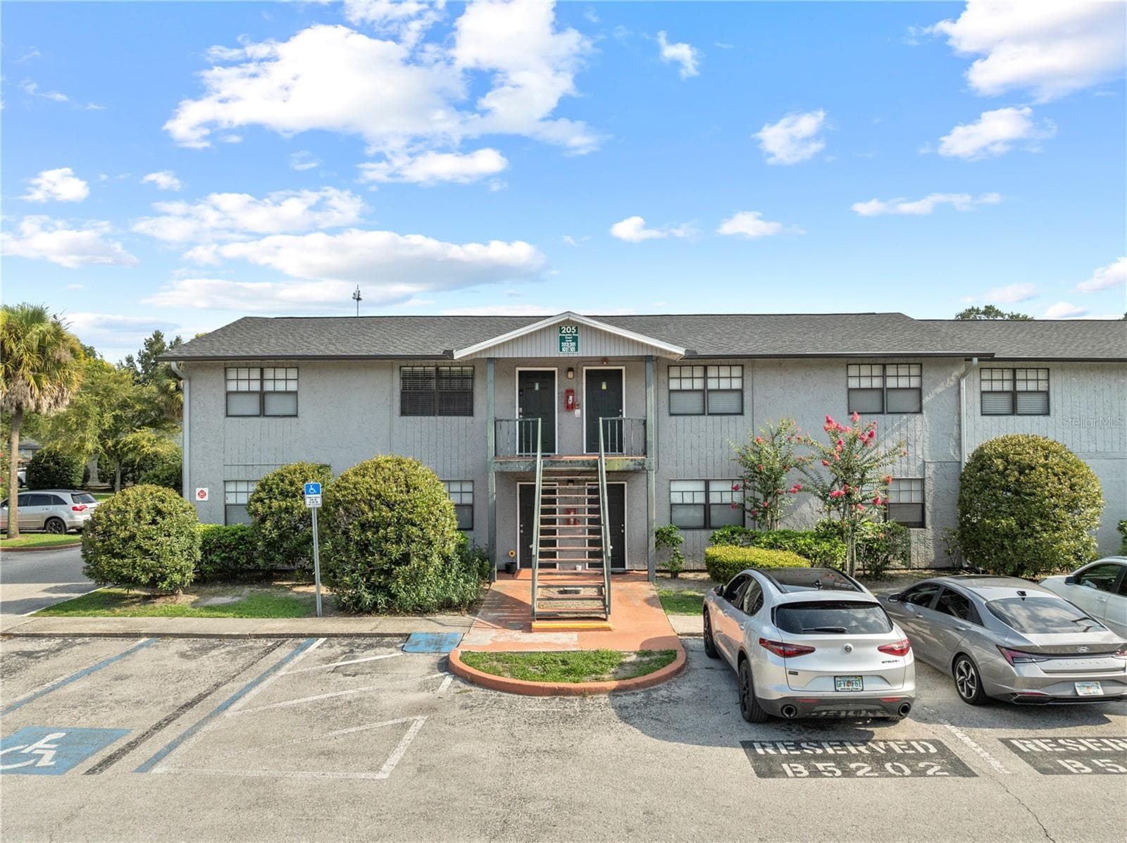 205 Poinsettia Pine CT #201