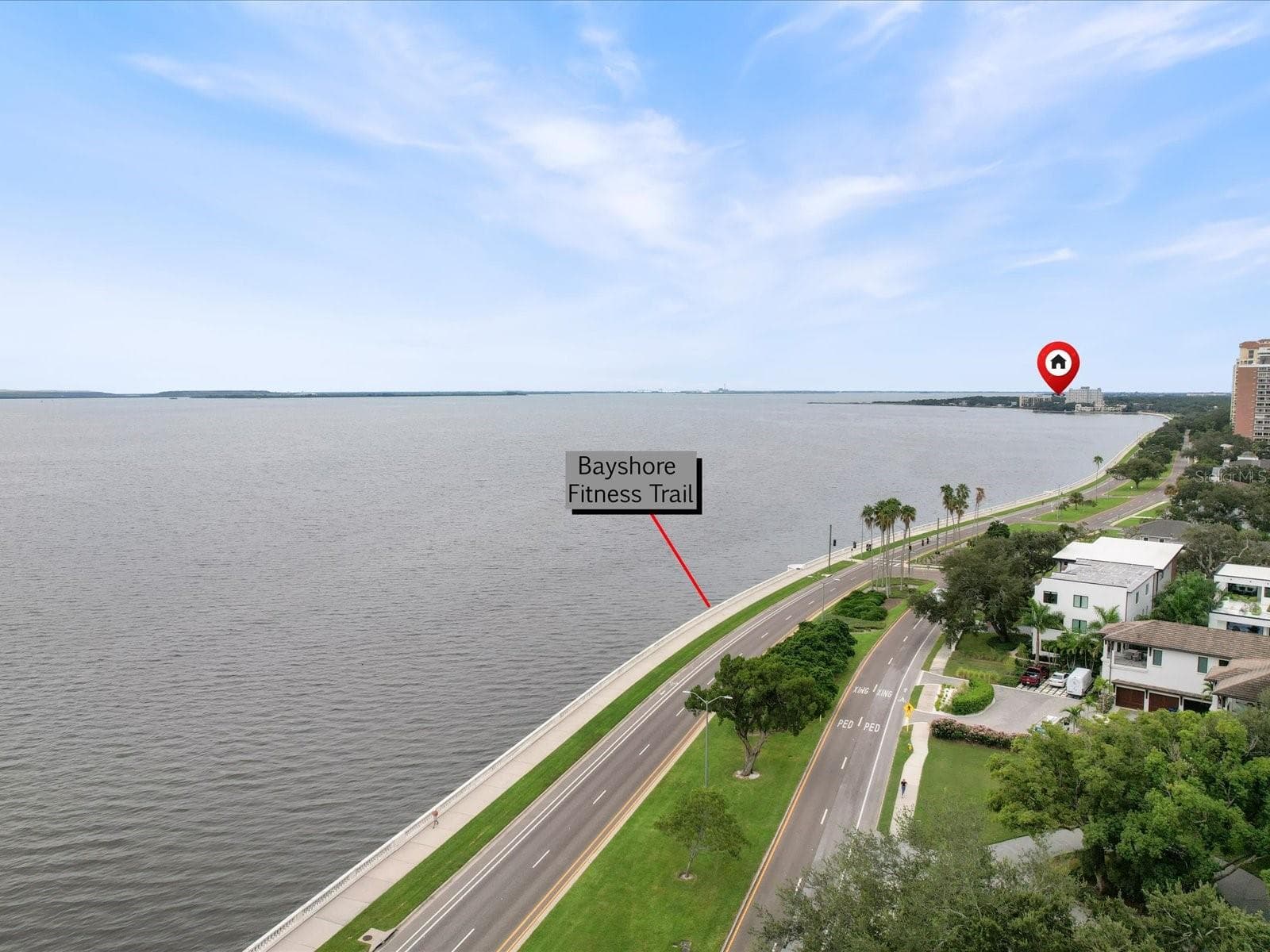4950 Bayshore Blvd #28 photo 3