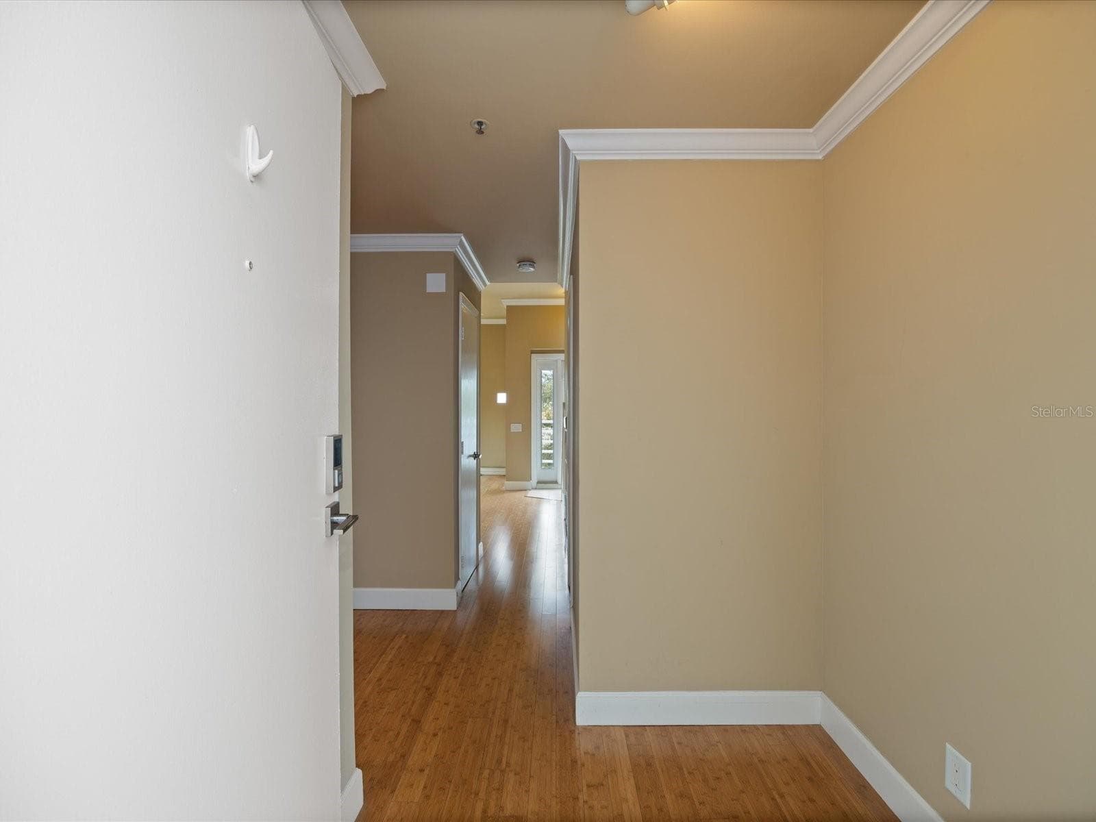 4950 Bayshore Blvd #28 photo 5