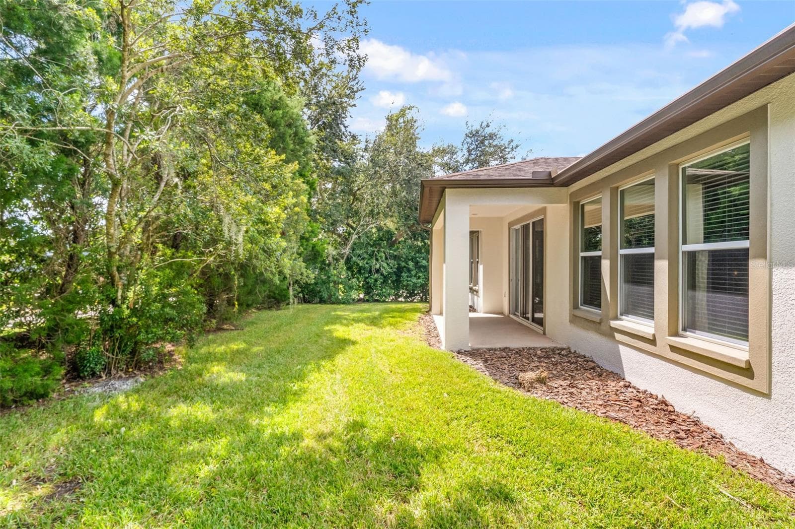 4432 Vermillion Sky Dr photo 5