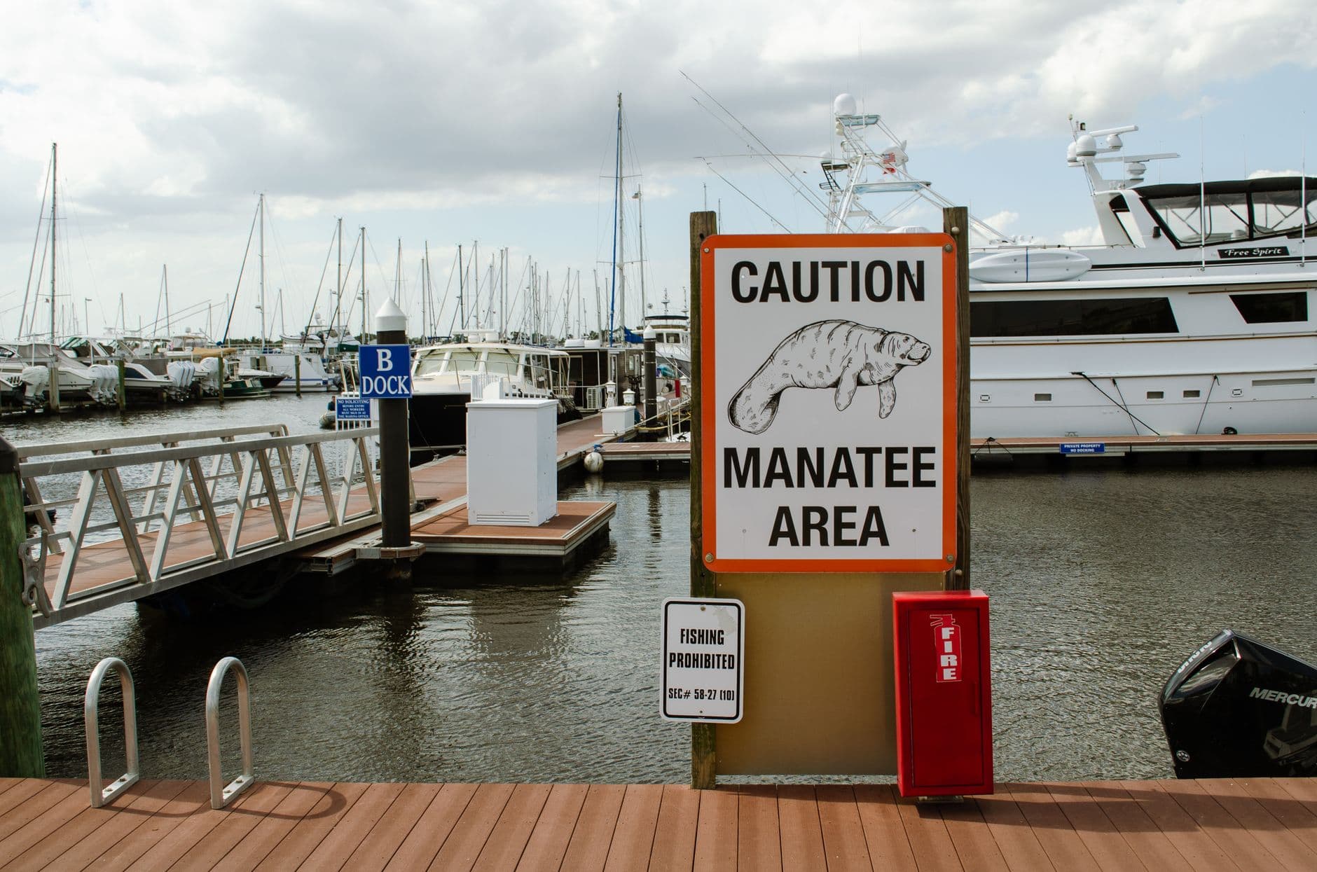 Safety Harbor