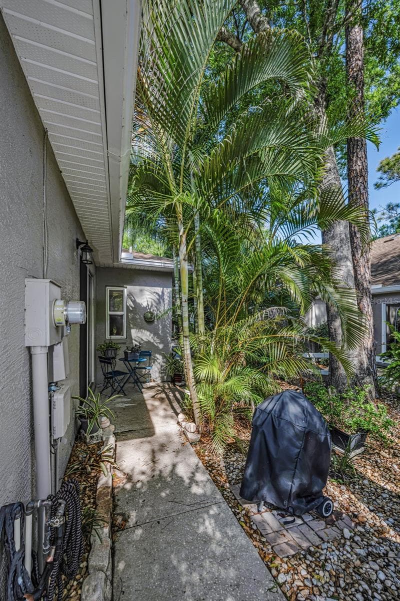 3164 Brooker Creek Way