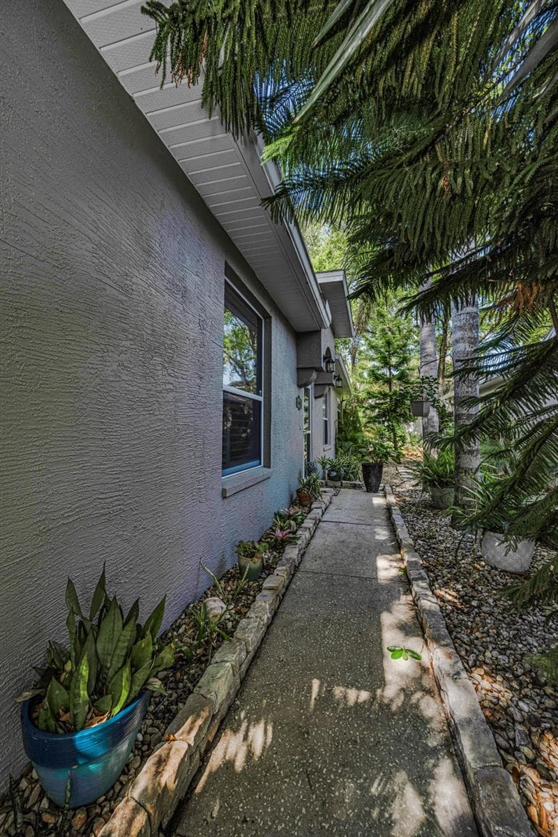 3164 Brooker Creek Way