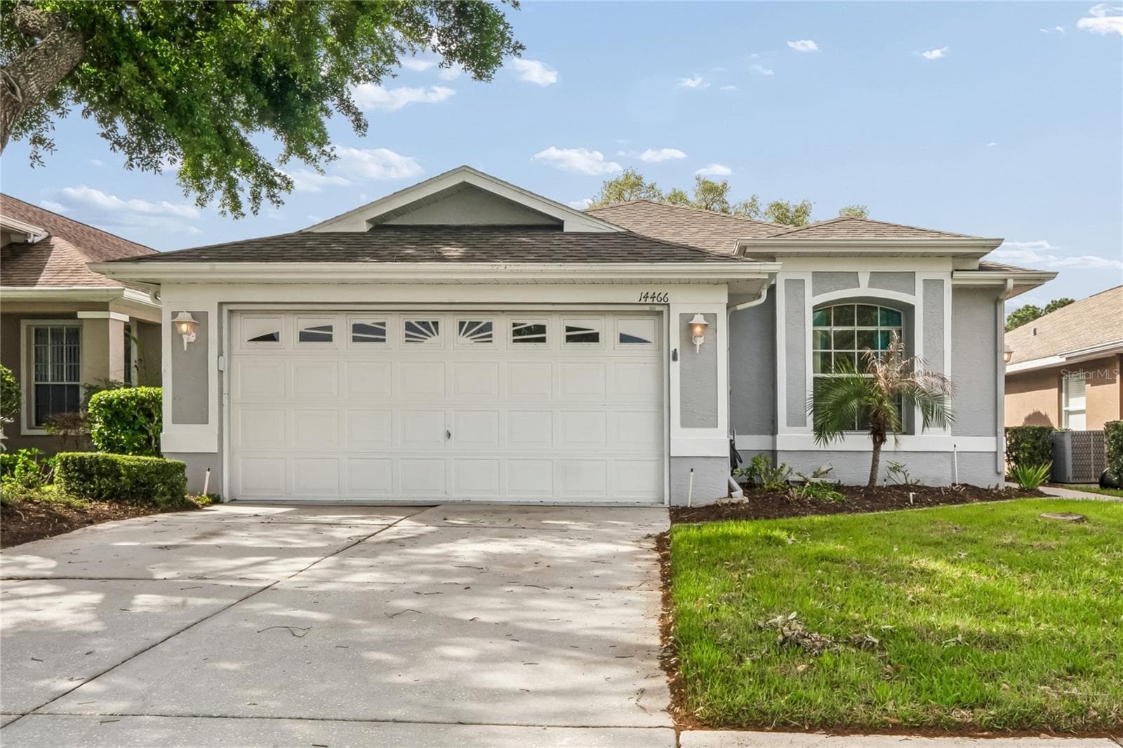 14466 Tamarind Loop