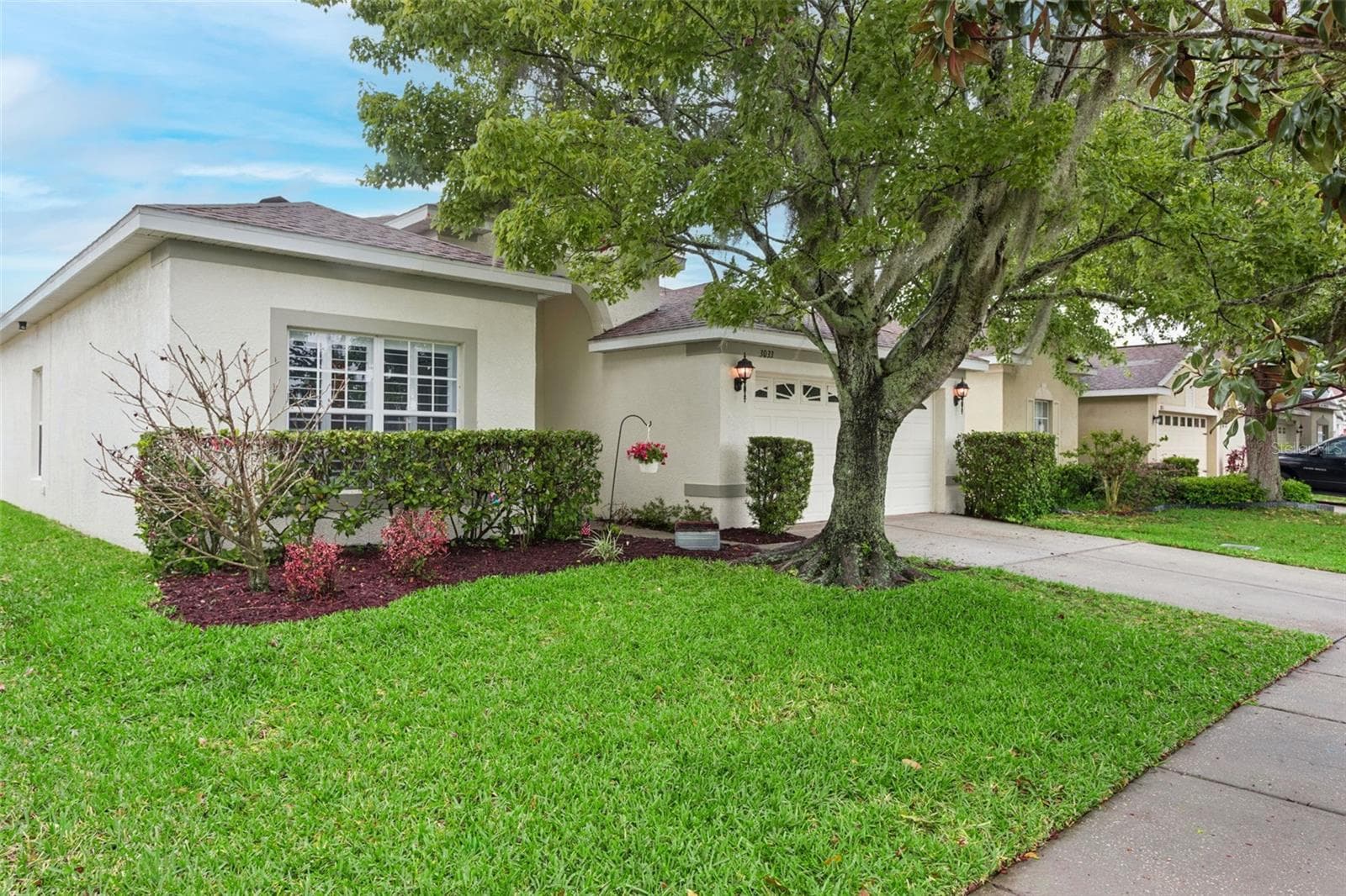 3033 Gem Luster CT