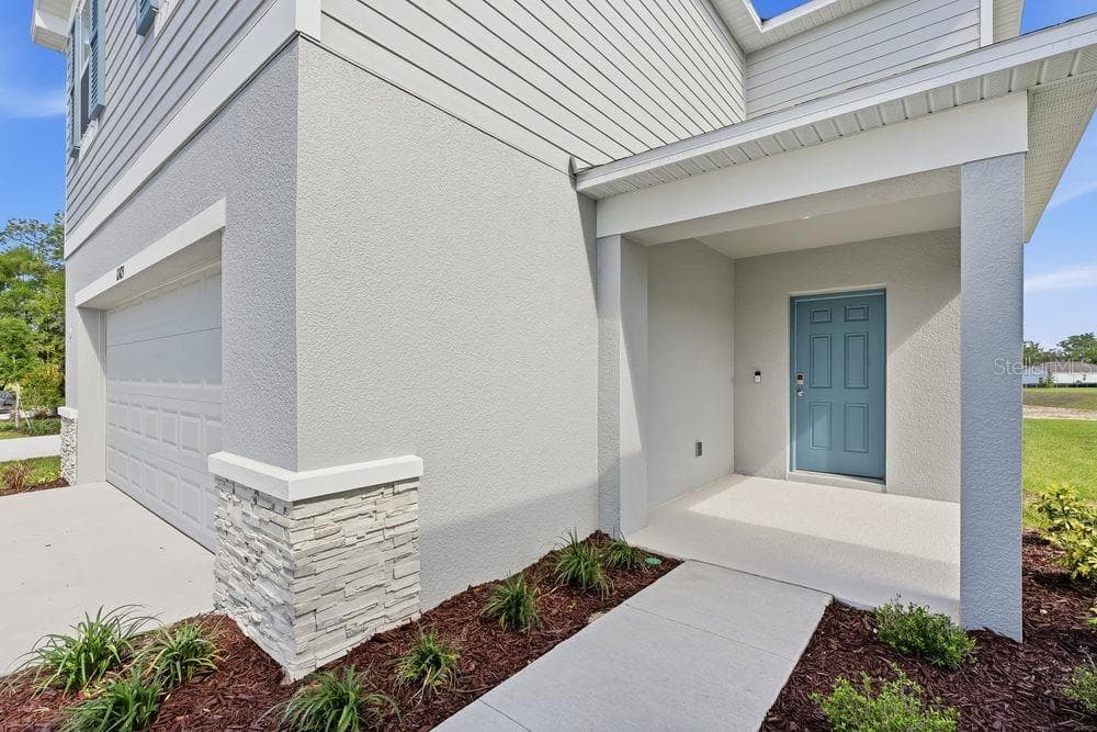 12423 Whisk CT